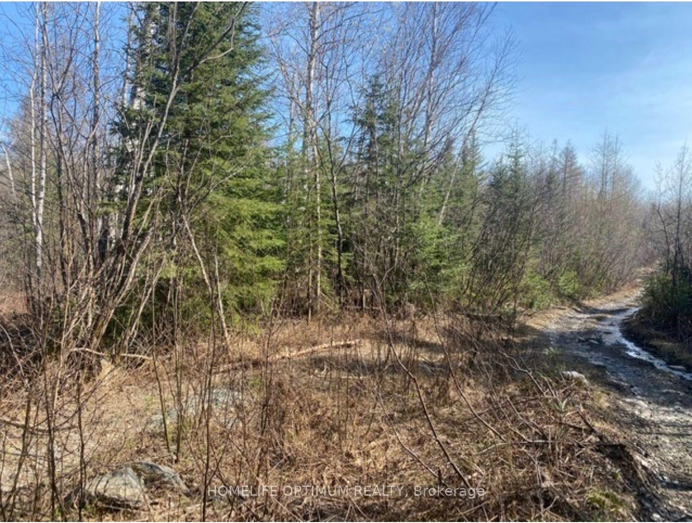 Photo 3 of PCL 10742 McGarry, Timiskaming, TIM - Outside - Rural — HOMEH