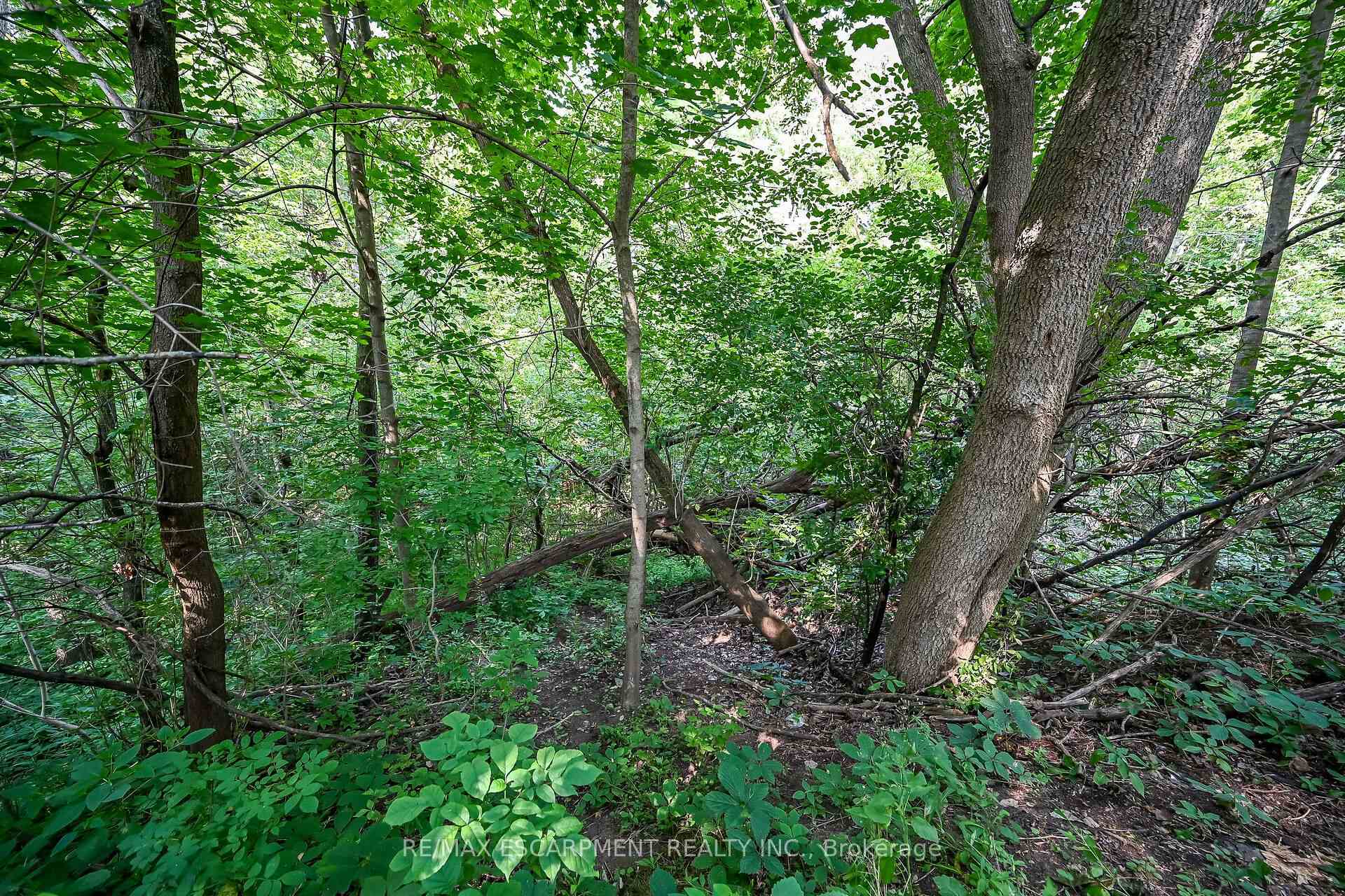 Photo 39 of 60 Locks Road, Brantford, Echo Place — HOMEH