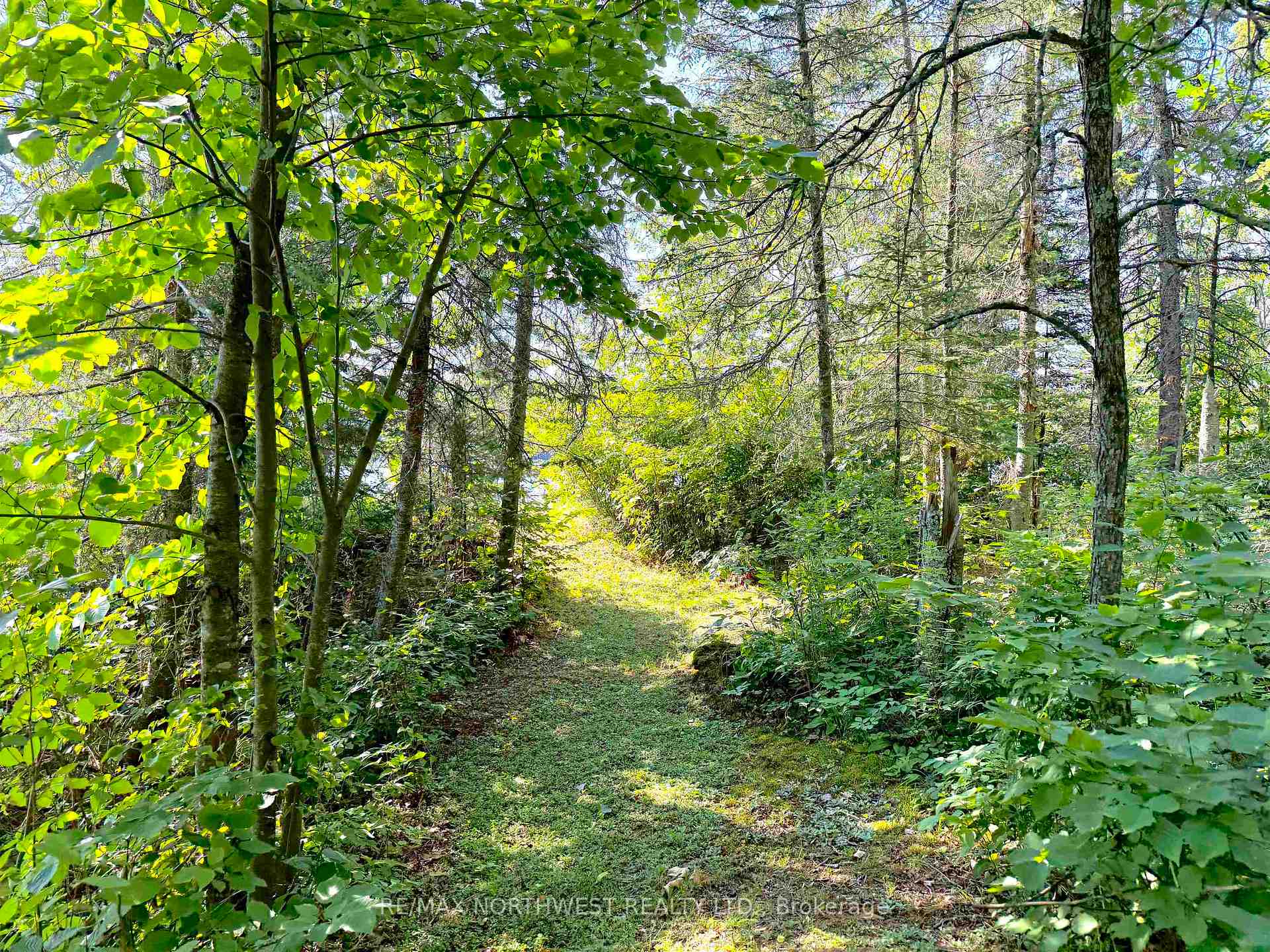 Photo 5 of PART 3 Tranquil Island, Kenora Remote Area, Lake of the Woods North — HOMEH