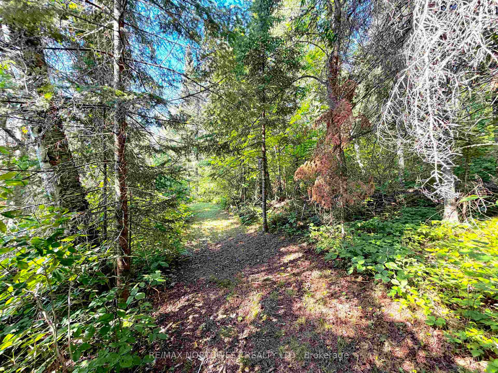 Photo 8 of PART 3 Tranquil Island, Kenora Remote Area, Lake of the Woods North — HOMEH