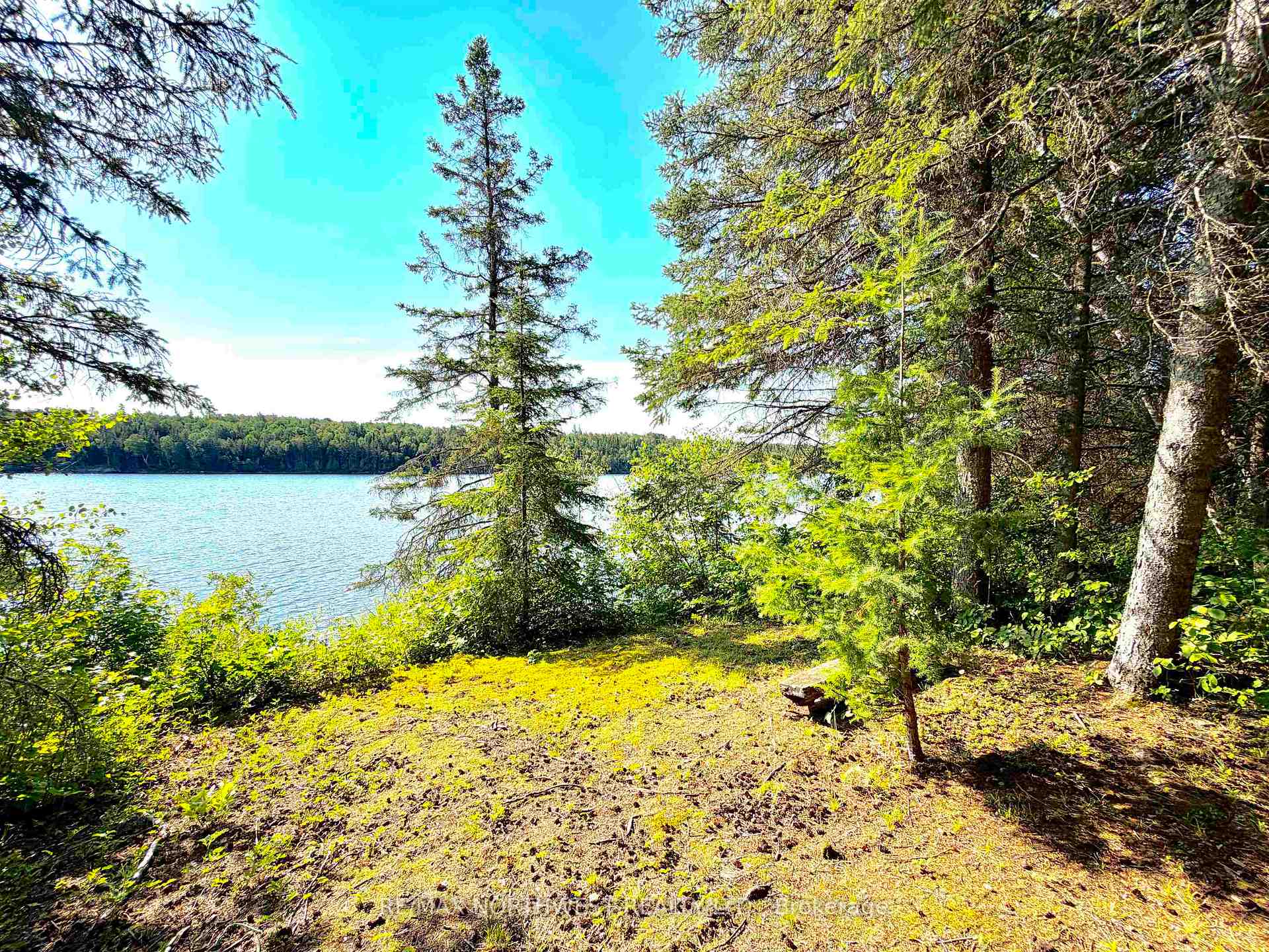 Photo 10 of PART 3 Tranquil Island, Kenora Remote Area, Lake of the Woods North — HOMEH