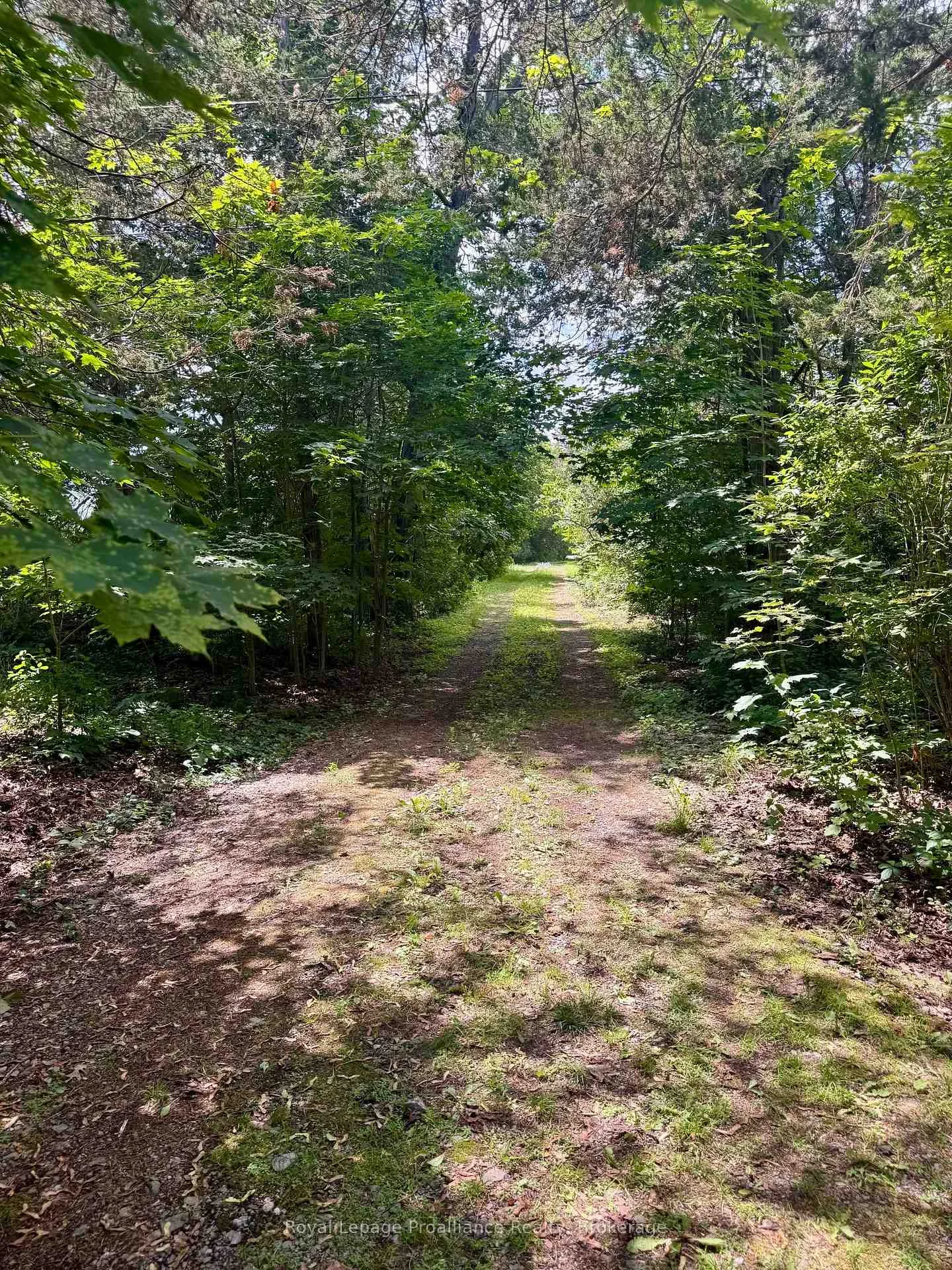 Photo 7 of 680 Highway 49, Prince Edward County, Picton — HOMEH