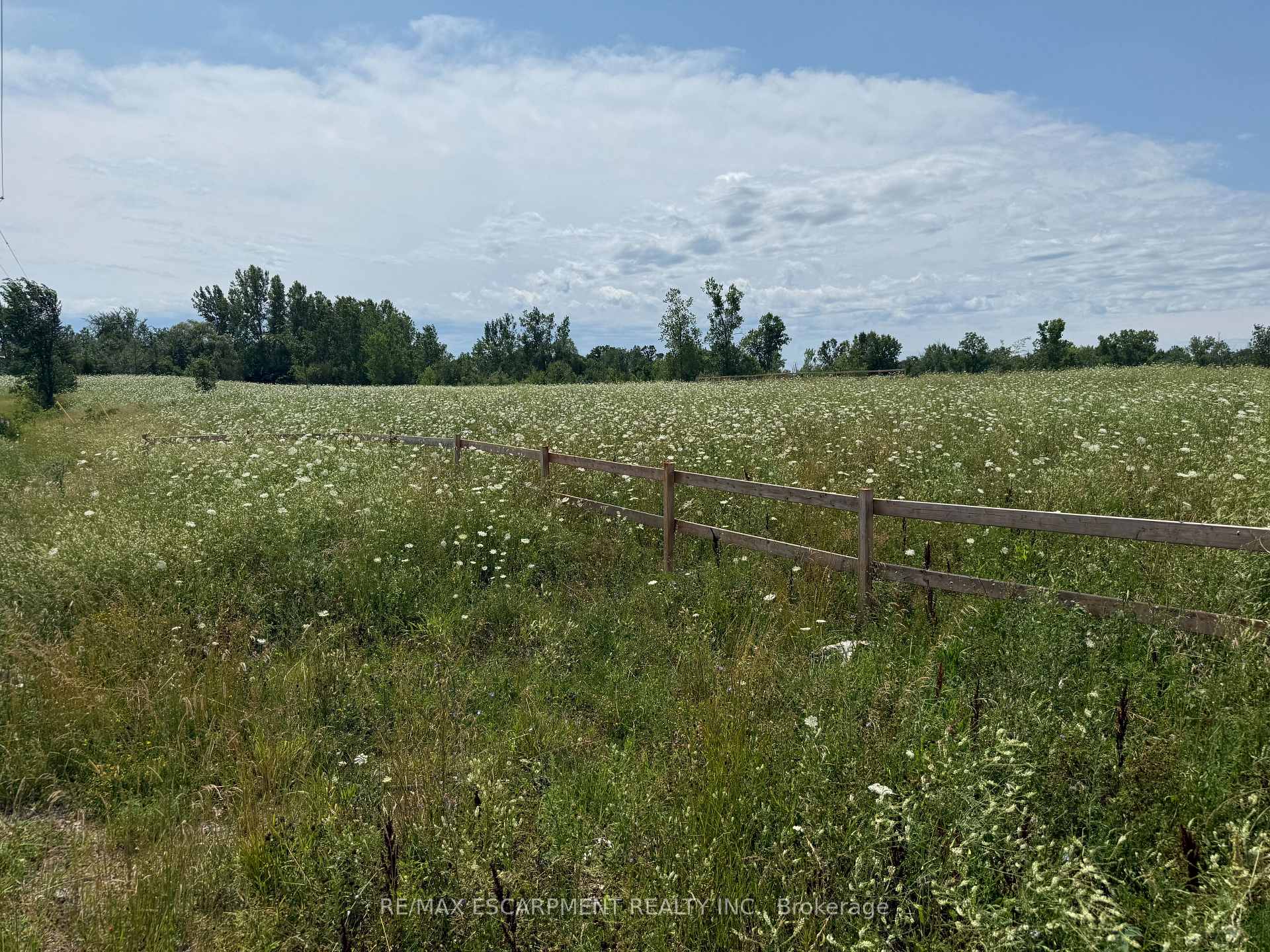 Photo 7 of 260 Colborne Street, Welland, Broadway — HOMEH