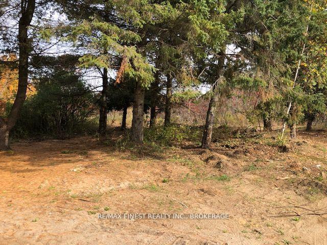 Photo 5 of 1380 Westport Road, Frontenac, Frontenac South — HOMEH