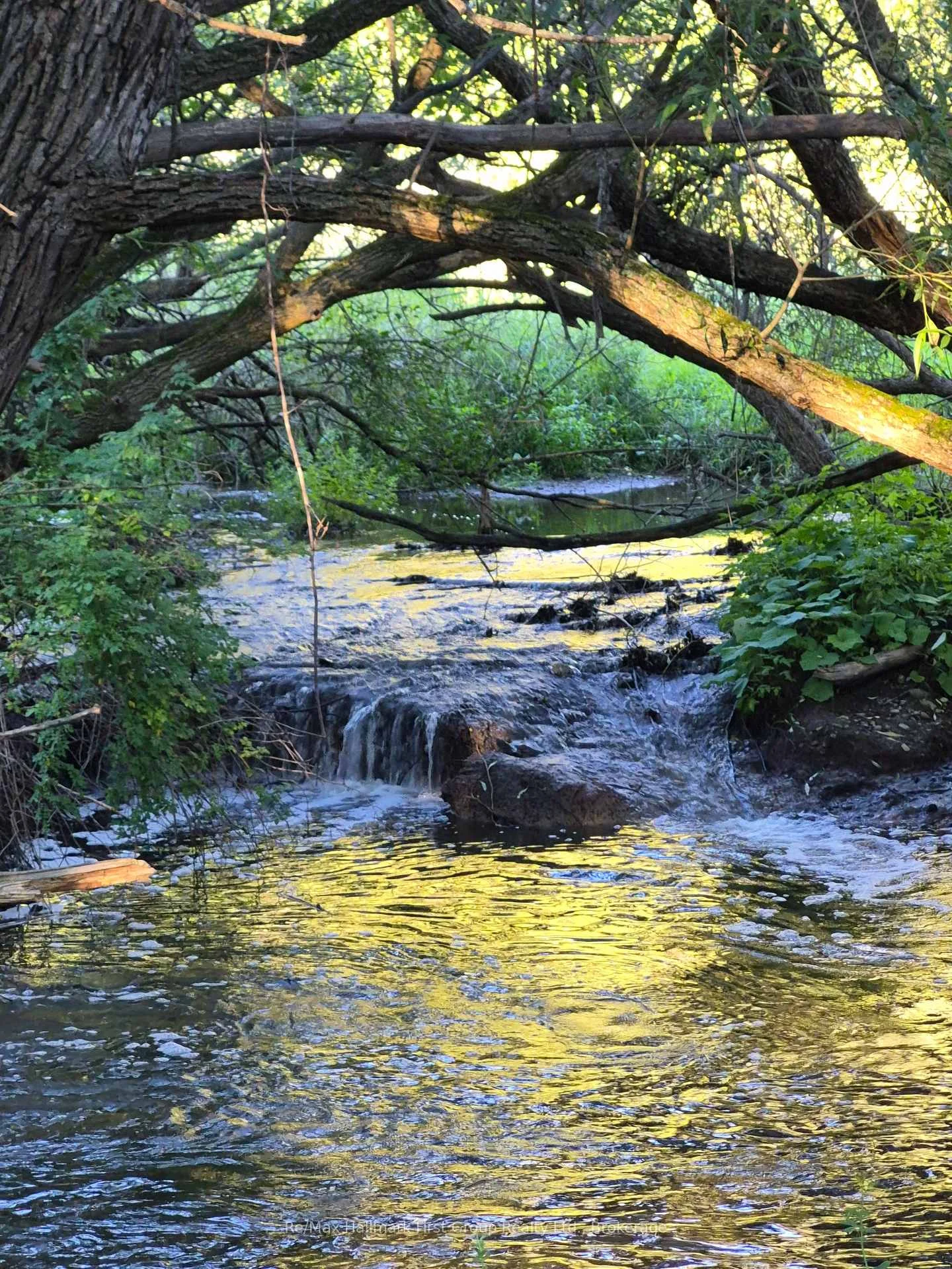 Photo 48 of 100 Rice Drive, Whitby, Pringle Creek — HOMEH