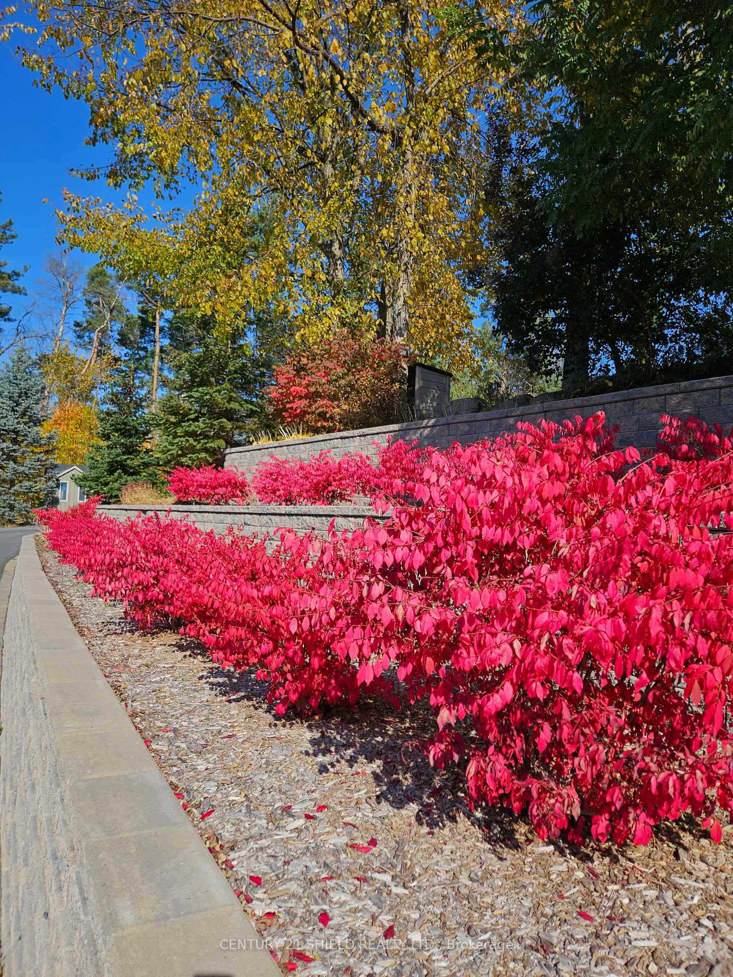 Photo 50 of 1 Forest Hill Road, South Stormont, Long Sault — HOMEH