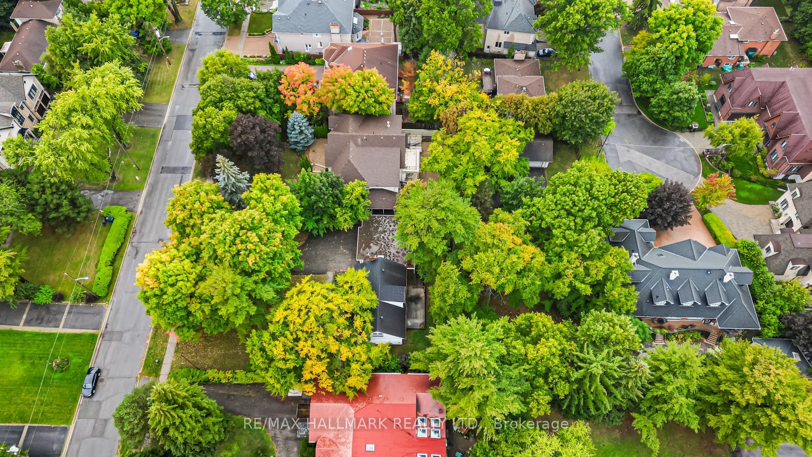 Photo 42 of 344 Spring Garden Avenue, North York, Willowdale East — HOMEH