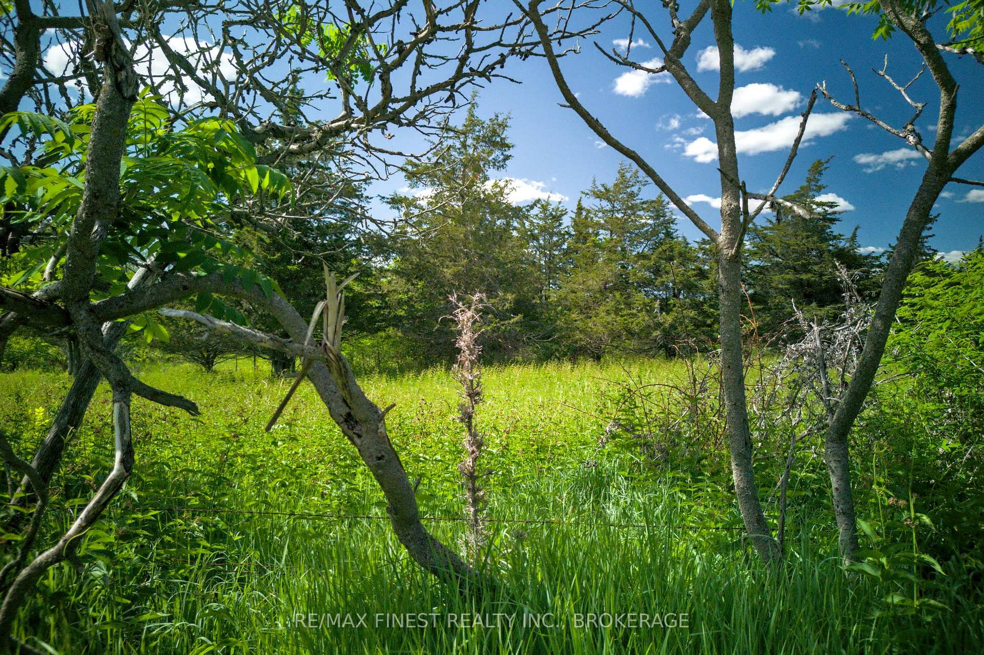 Photo 23 of Lot 13b Front Road, Loyalist, Amherst Island — HOMEH
