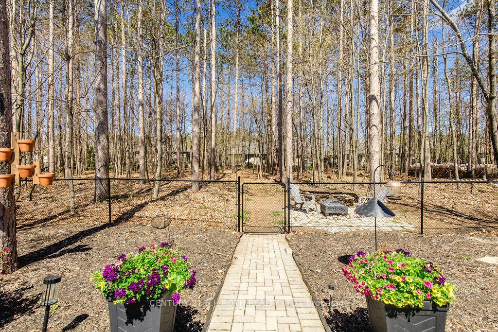 Photo 42 of 12 Lloyd Cook Drive E, Springwater, Snow Valley — HOMEH