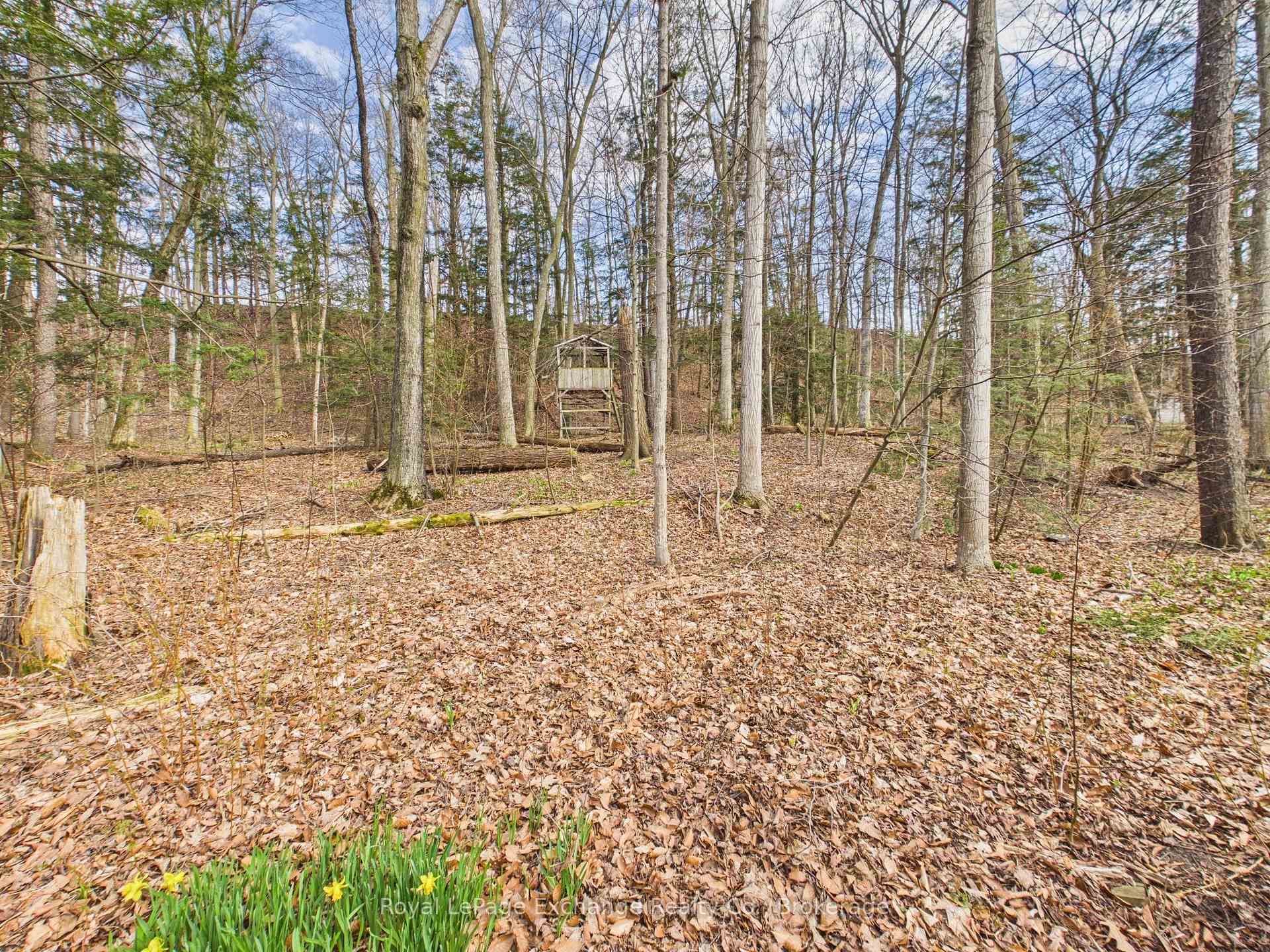 Photo 21 of 32 Blairs Trail, Huron-Kinloss — HOMEH