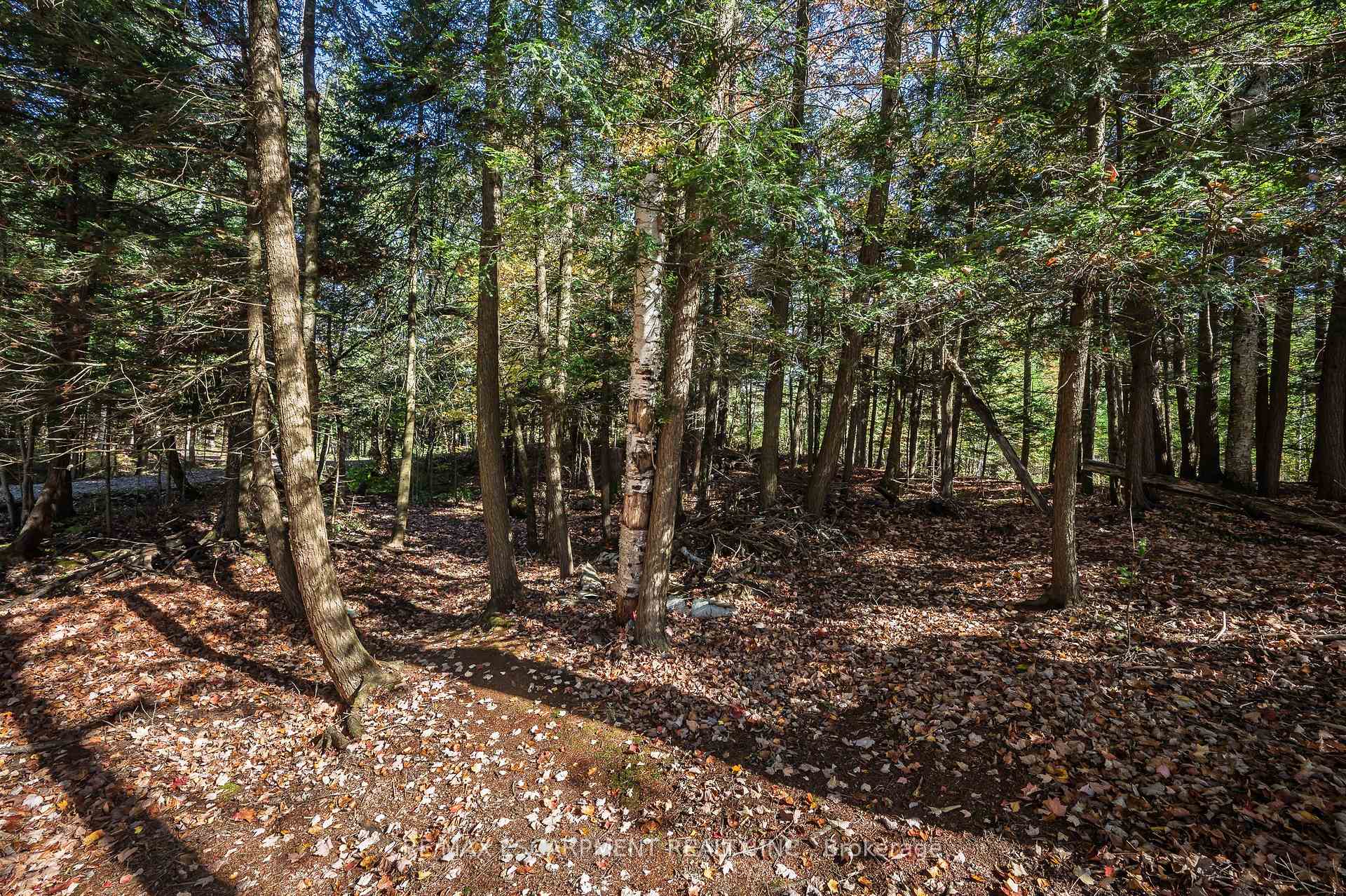 Photo 27 of 1012 Armstrong Road, Gravenhurst, Wood (Gravenhurst) — HOMEH
