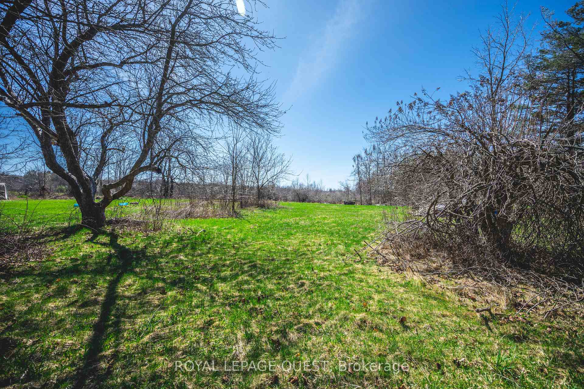 Photo 27 of 1860 B Thorah Concession 11, Brock, Beaverton — HOMEH