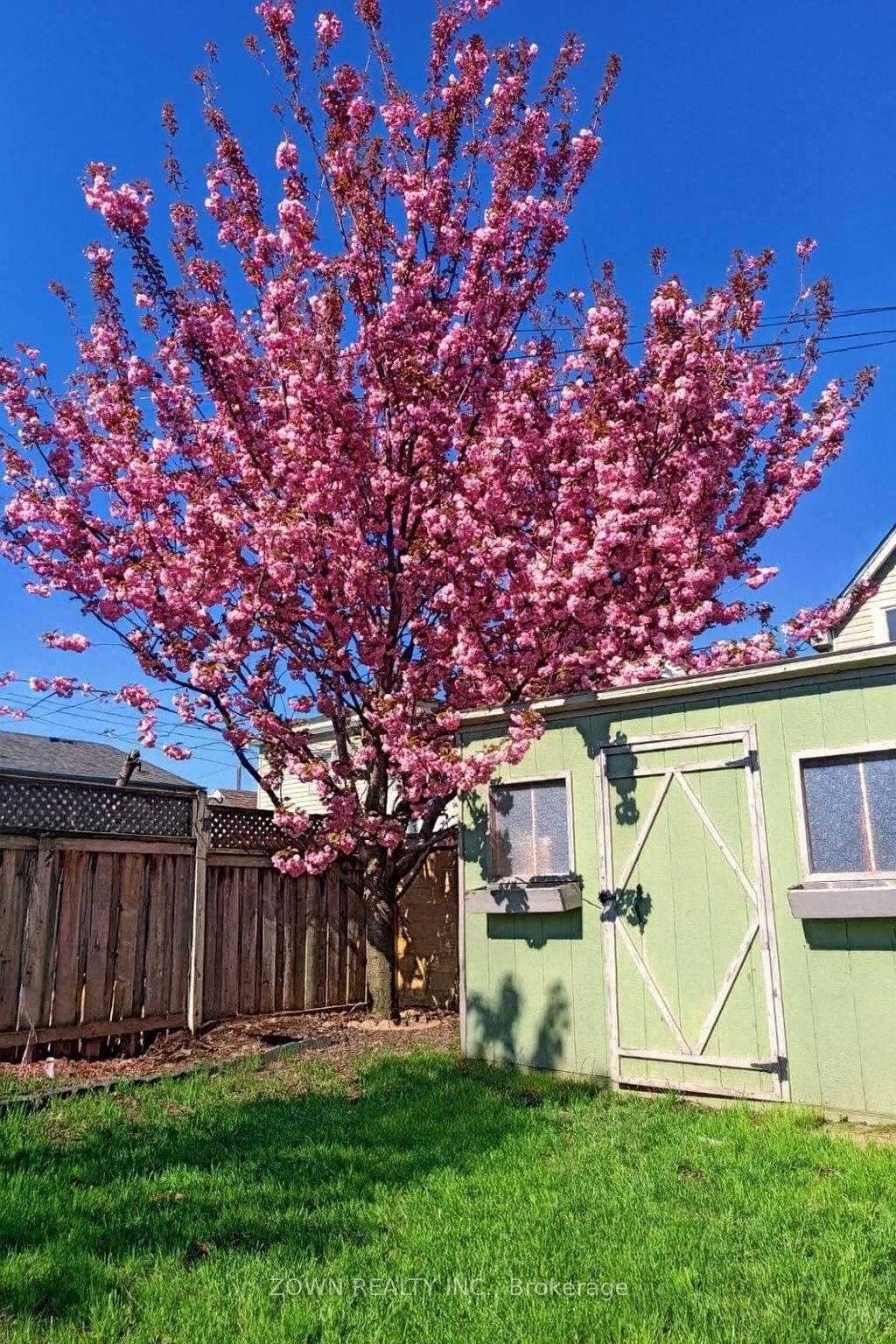 Photo 29 of 6 Albany Avenue, Hamilton, Crown Point — HOMEH