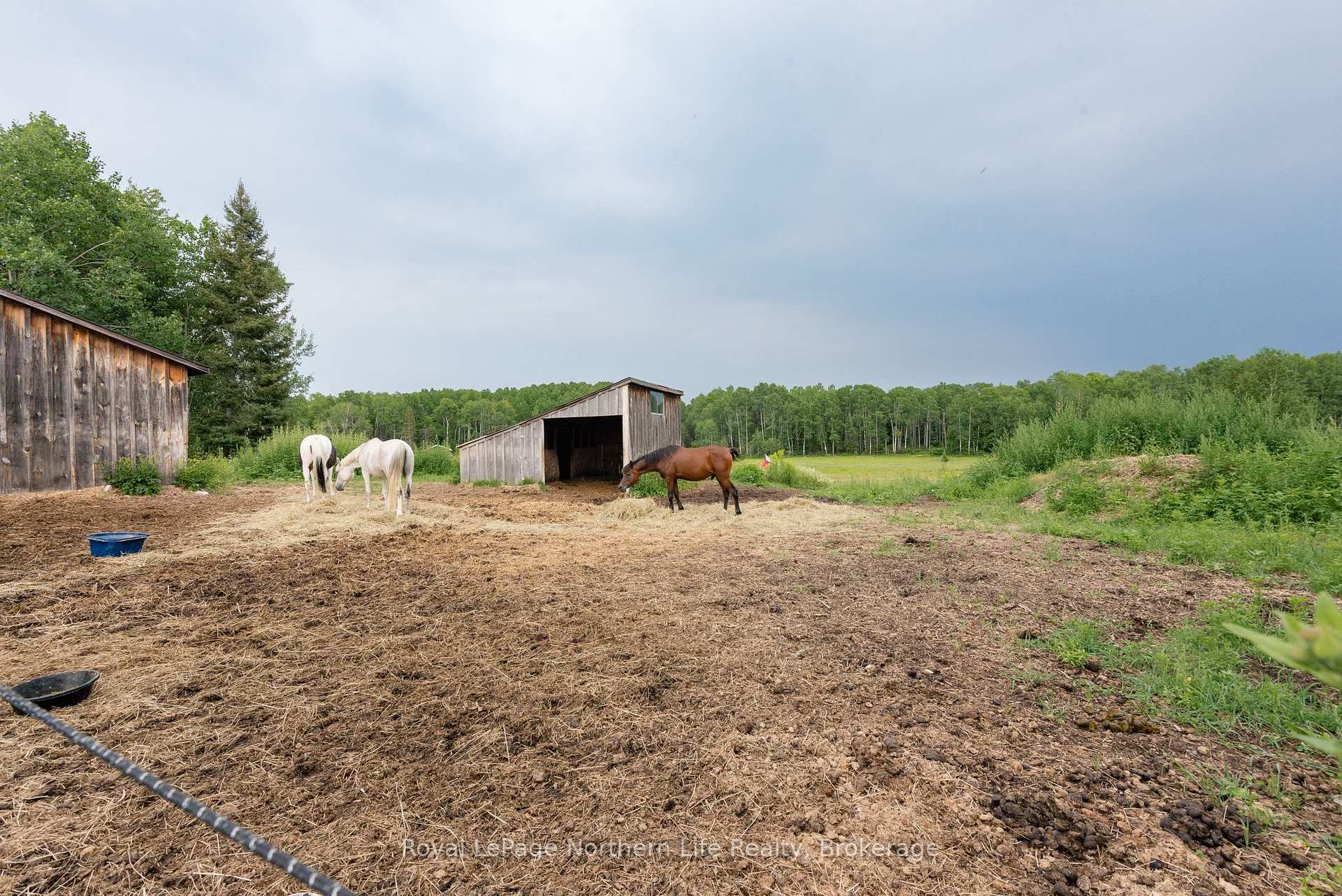 Photo 8 of 312 Johnson Rd, East Ferris — HOMEH