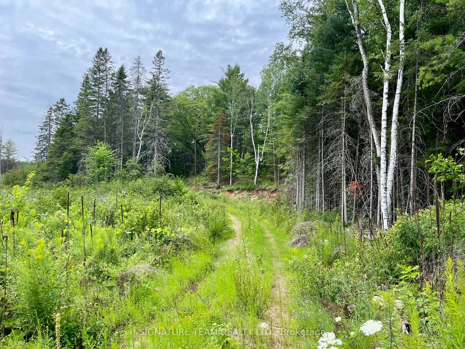 Photo 3 of 1011 Mcgrath Road, Bonnechere Valley, Eganville/Bonnechere Twp — HOMEH