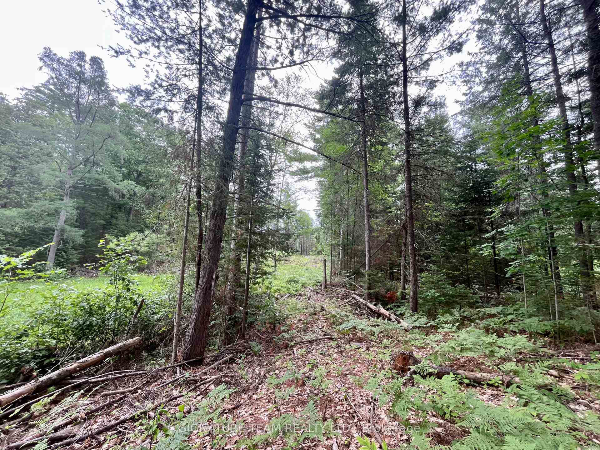 Photo 8 of 1011 Mcgrath Road, Bonnechere Valley, Eganville/Bonnechere Twp — HOMEH