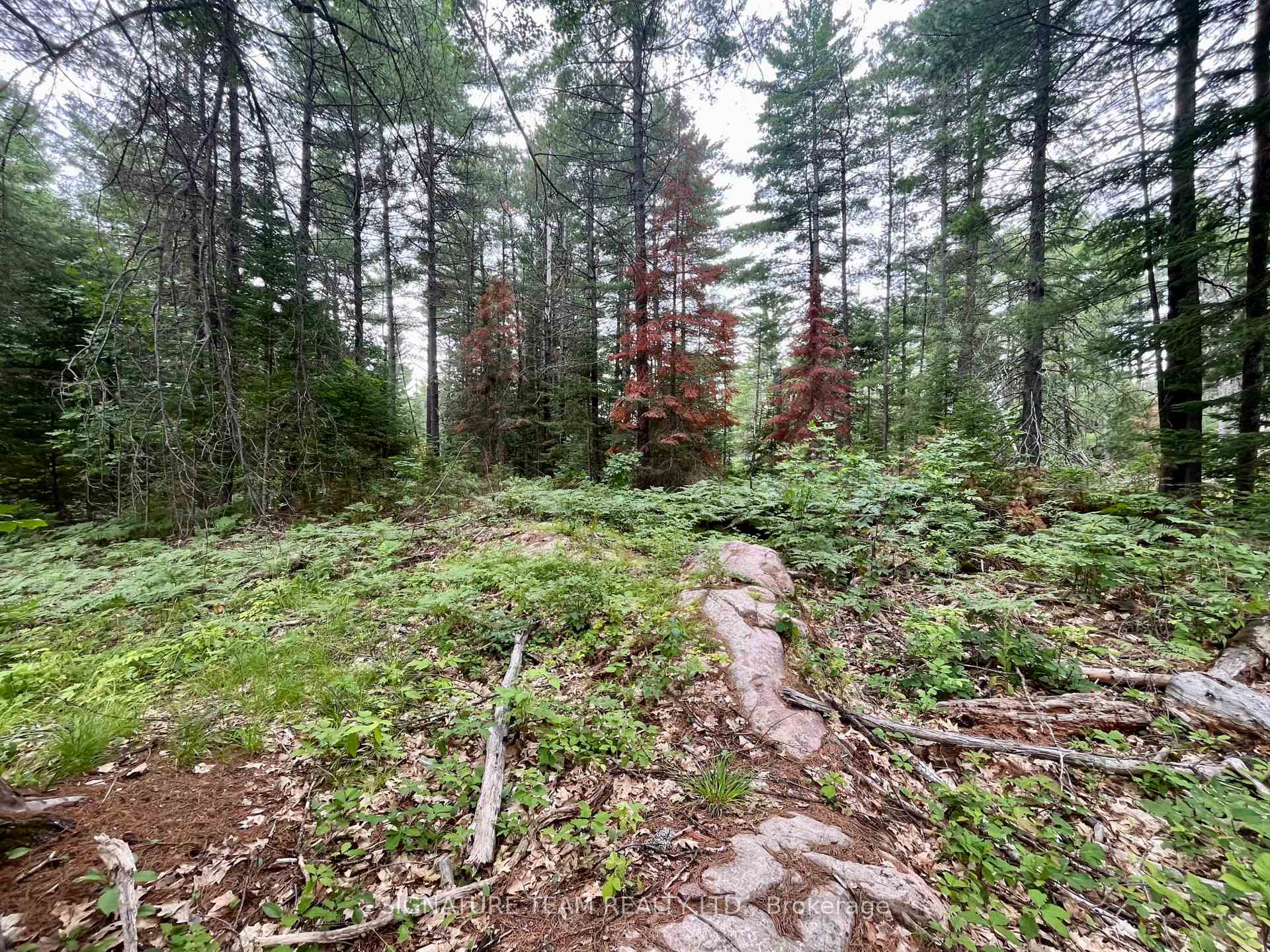Photo 9 of 1011 Mcgrath Road, Bonnechere Valley, Eganville/Bonnechere Twp — HOMEH