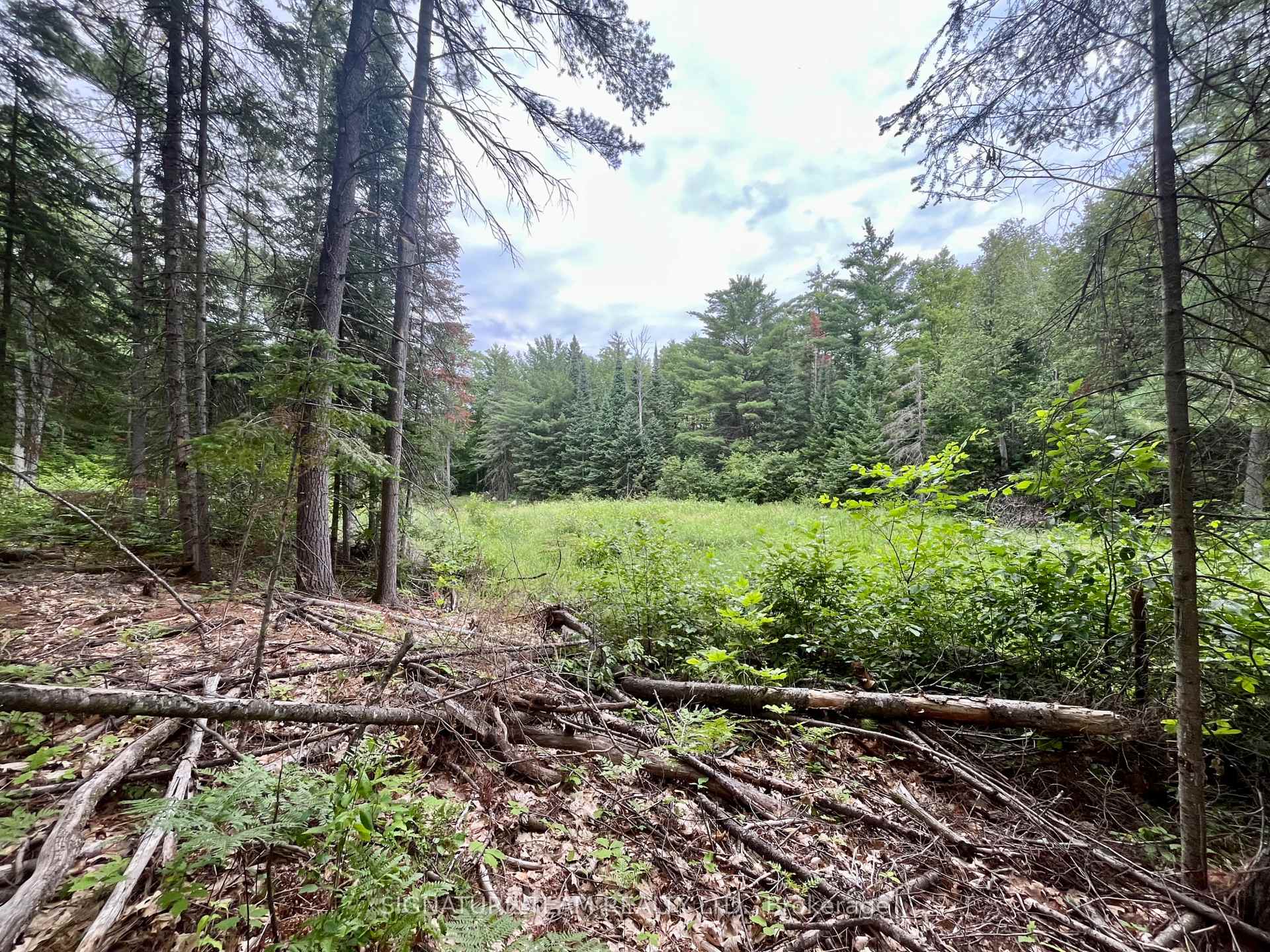 Photo 10 of 1011 Mcgrath Road, Bonnechere Valley, Eganville/Bonnechere Twp — HOMEH