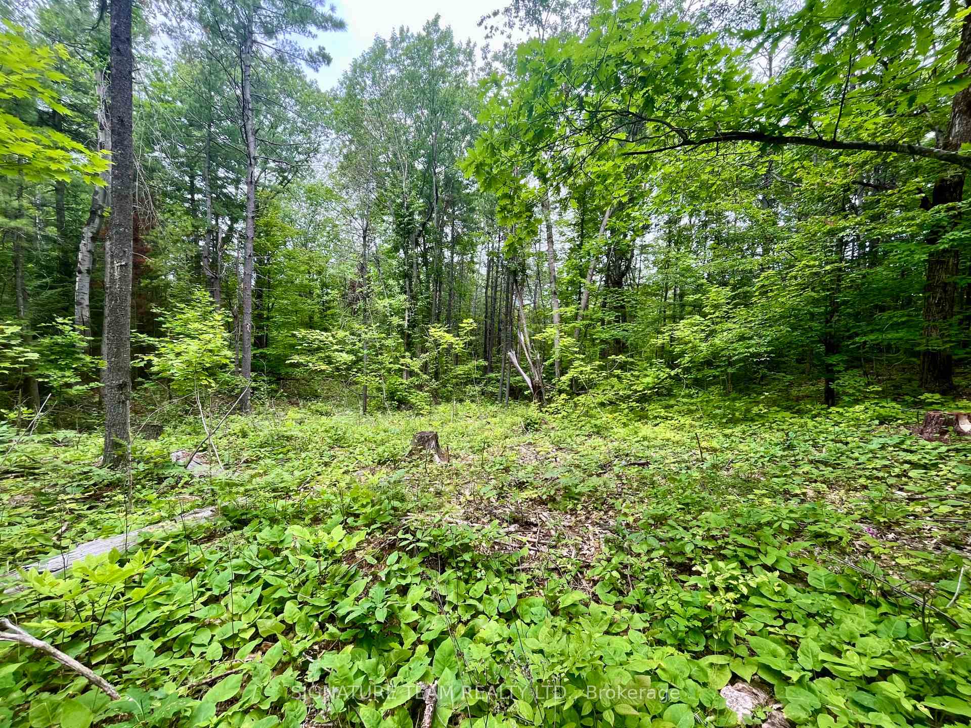 Photo 11 of 1011 Mcgrath Road, Bonnechere Valley, Eganville/Bonnechere Twp — HOMEH