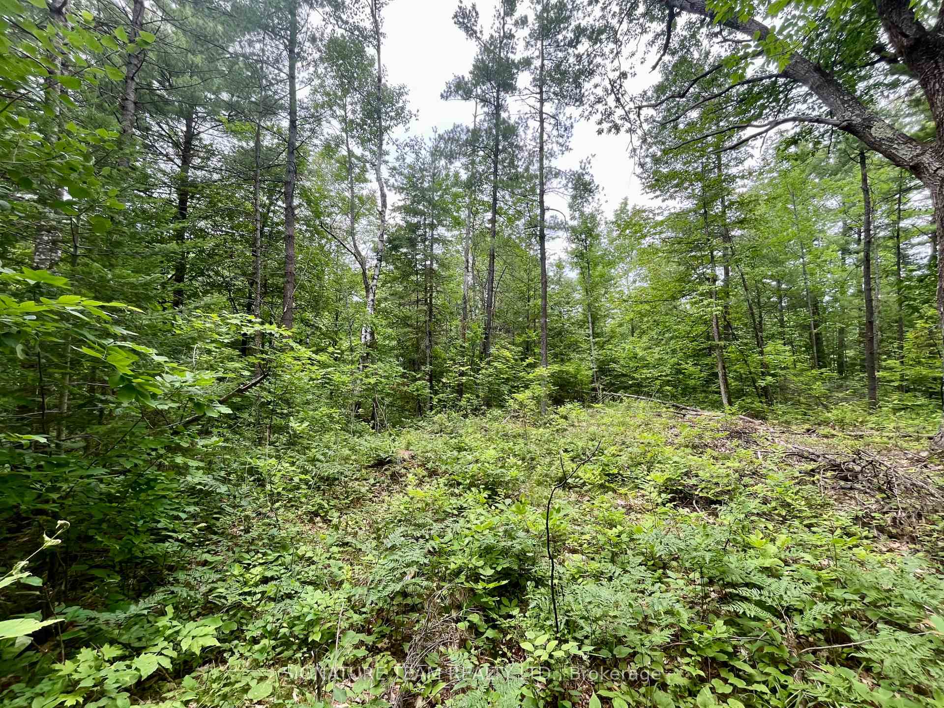Photo 12 of 1011 Mcgrath Road, Bonnechere Valley, Eganville/Bonnechere Twp — HOMEH