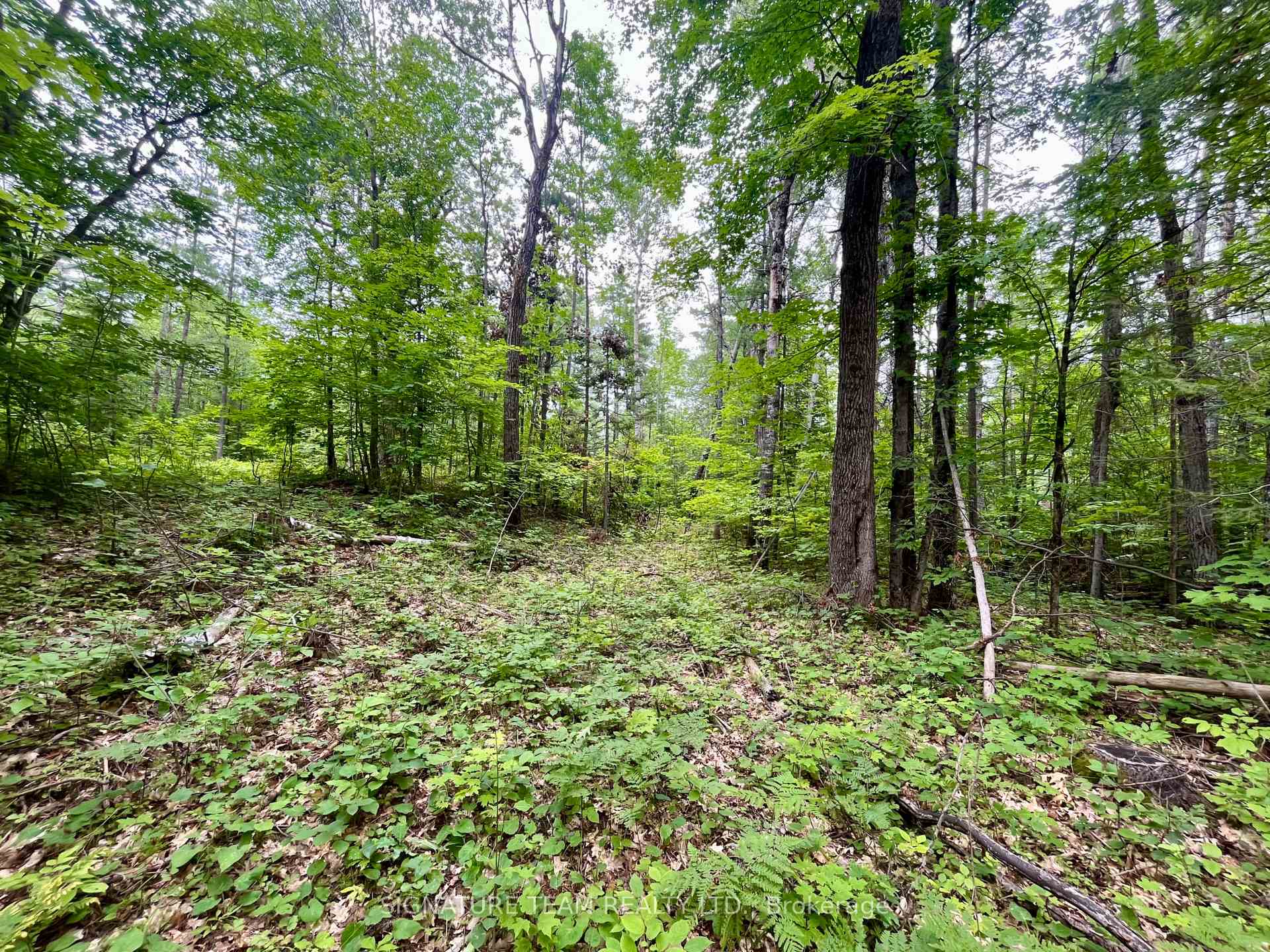 Photo 13 of 1011 Mcgrath Road, Bonnechere Valley, Eganville/Bonnechere Twp — HOMEH