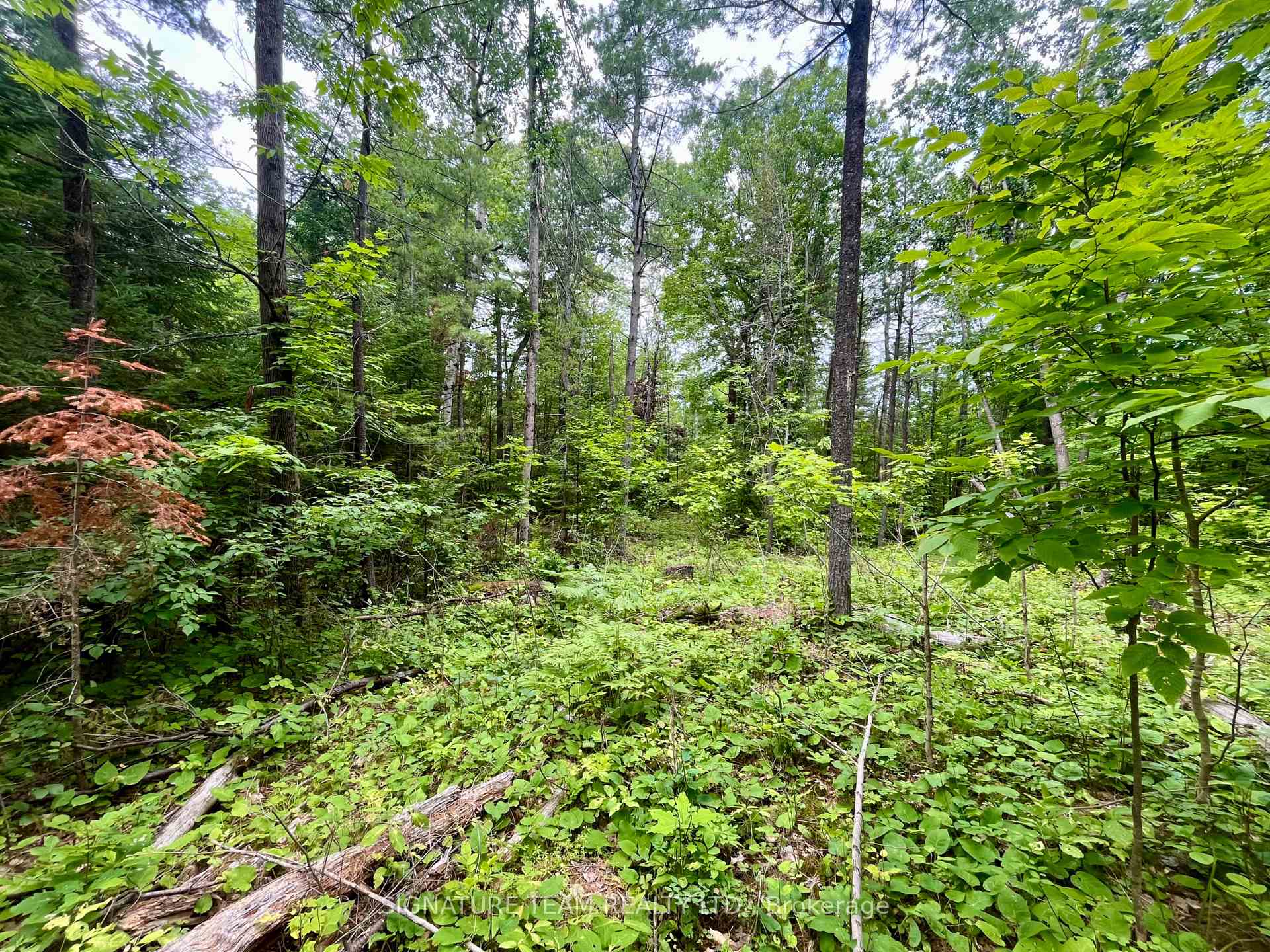 Photo 14 of 1011 Mcgrath Road, Bonnechere Valley, Eganville/Bonnechere Twp — HOMEH