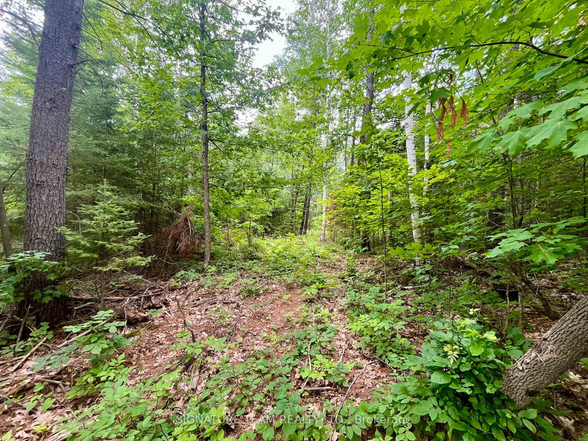 Photo 15 of 1011 Mcgrath Road, Bonnechere Valley, Eganville/Bonnechere Twp — HOMEH
