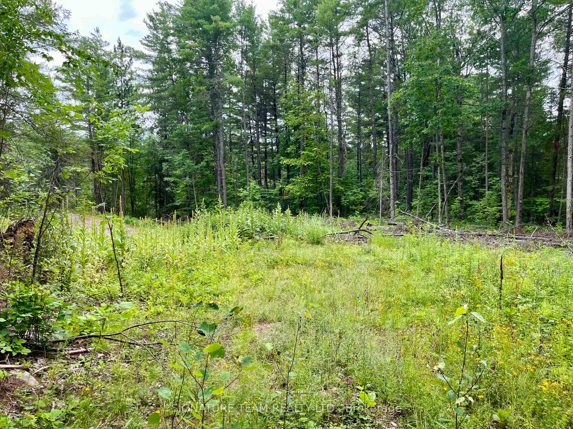 Photo 17 of 1011 Mcgrath Road, Bonnechere Valley, Eganville/Bonnechere Twp — HOMEH