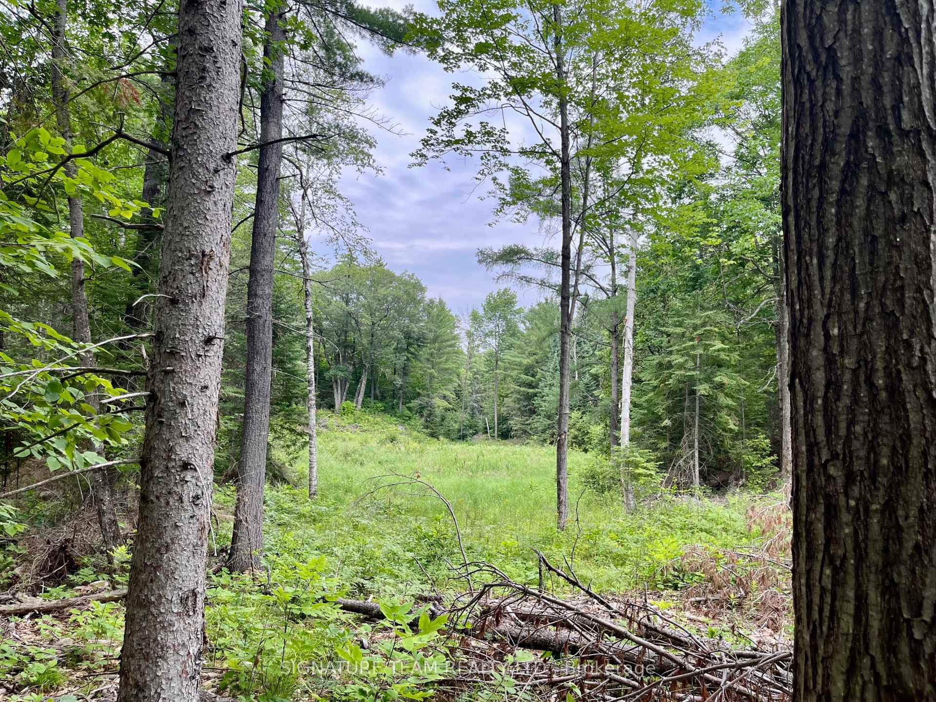 Photo 18 of 1011 Mcgrath Road, Bonnechere Valley, Eganville/Bonnechere Twp — HOMEH