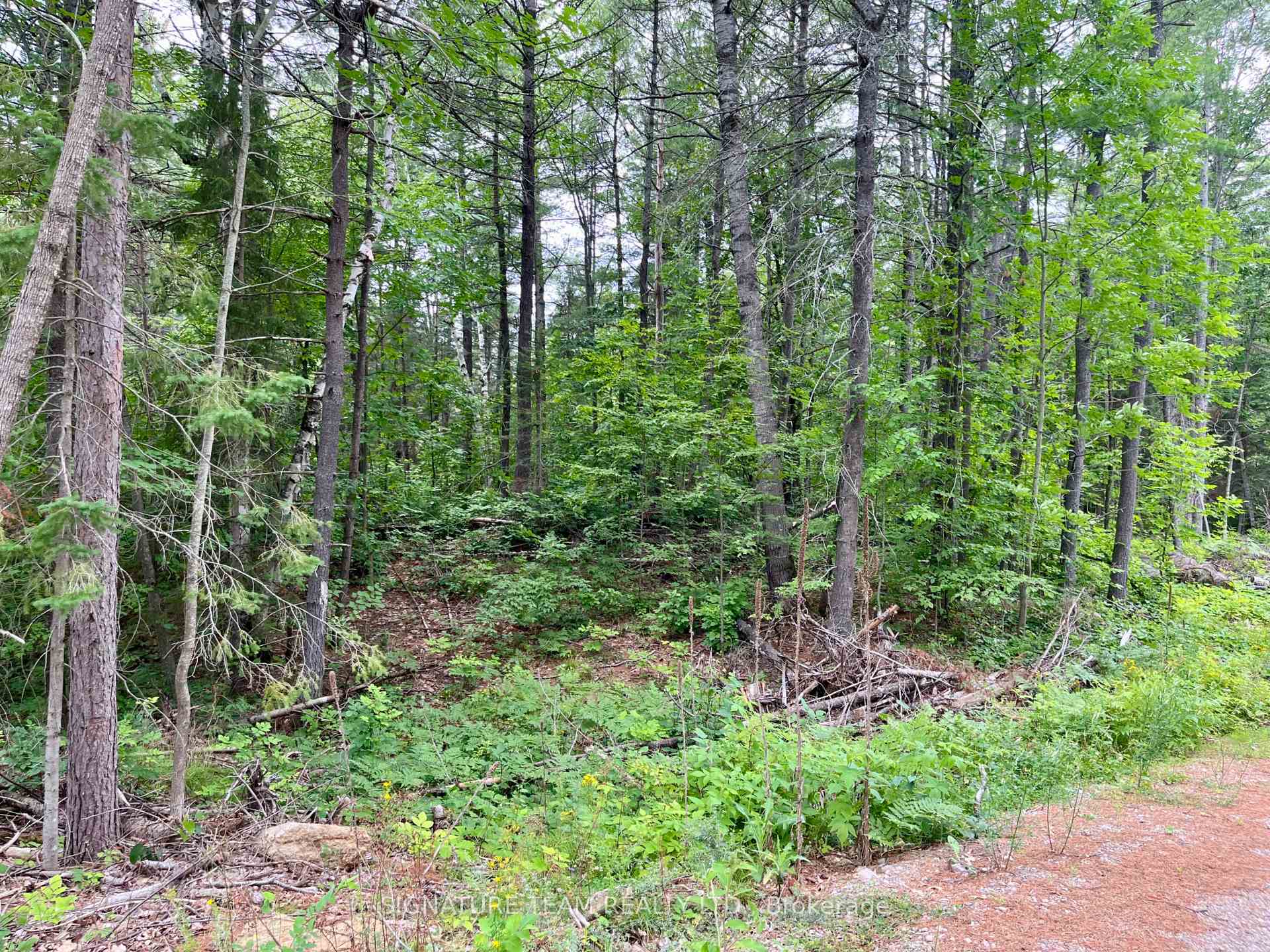 Photo 19 of 1011 Mcgrath Road, Bonnechere Valley, Eganville/Bonnechere Twp — HOMEH
