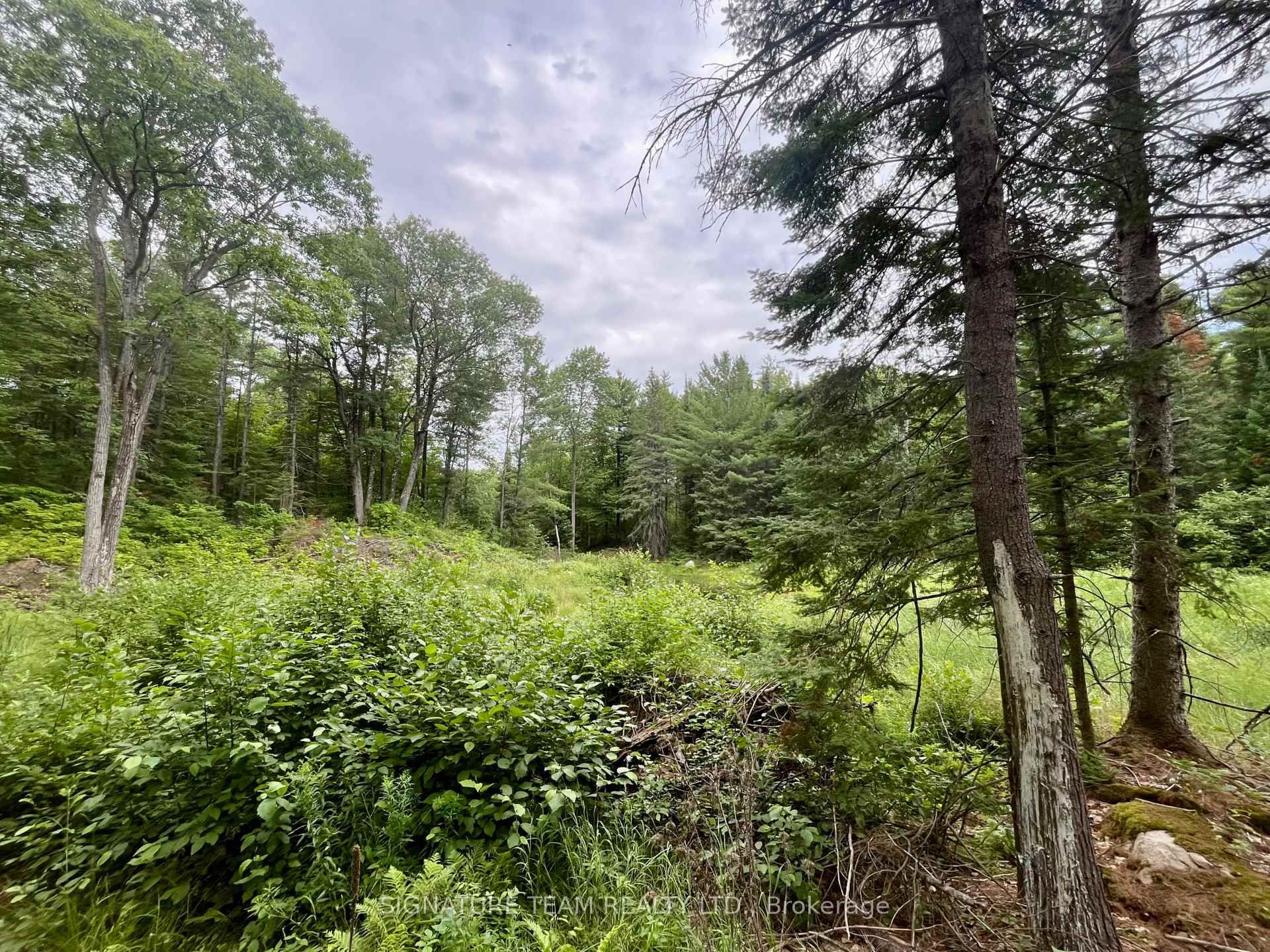 Photo 24 of 1011 Mcgrath Road, Bonnechere Valley, Eganville/Bonnechere Twp — HOMEH