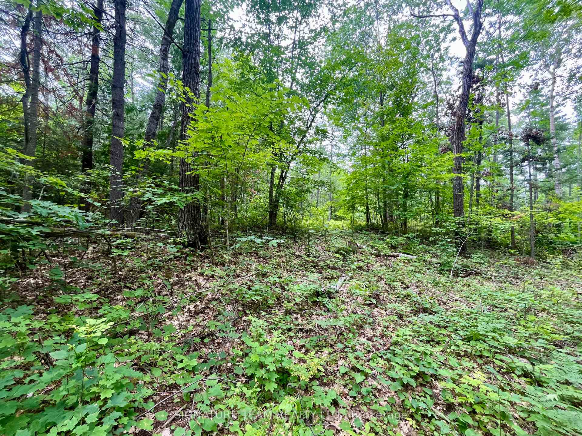 Photo 25 of 1011 Mcgrath Road, Bonnechere Valley, Eganville/Bonnechere Twp — HOMEH