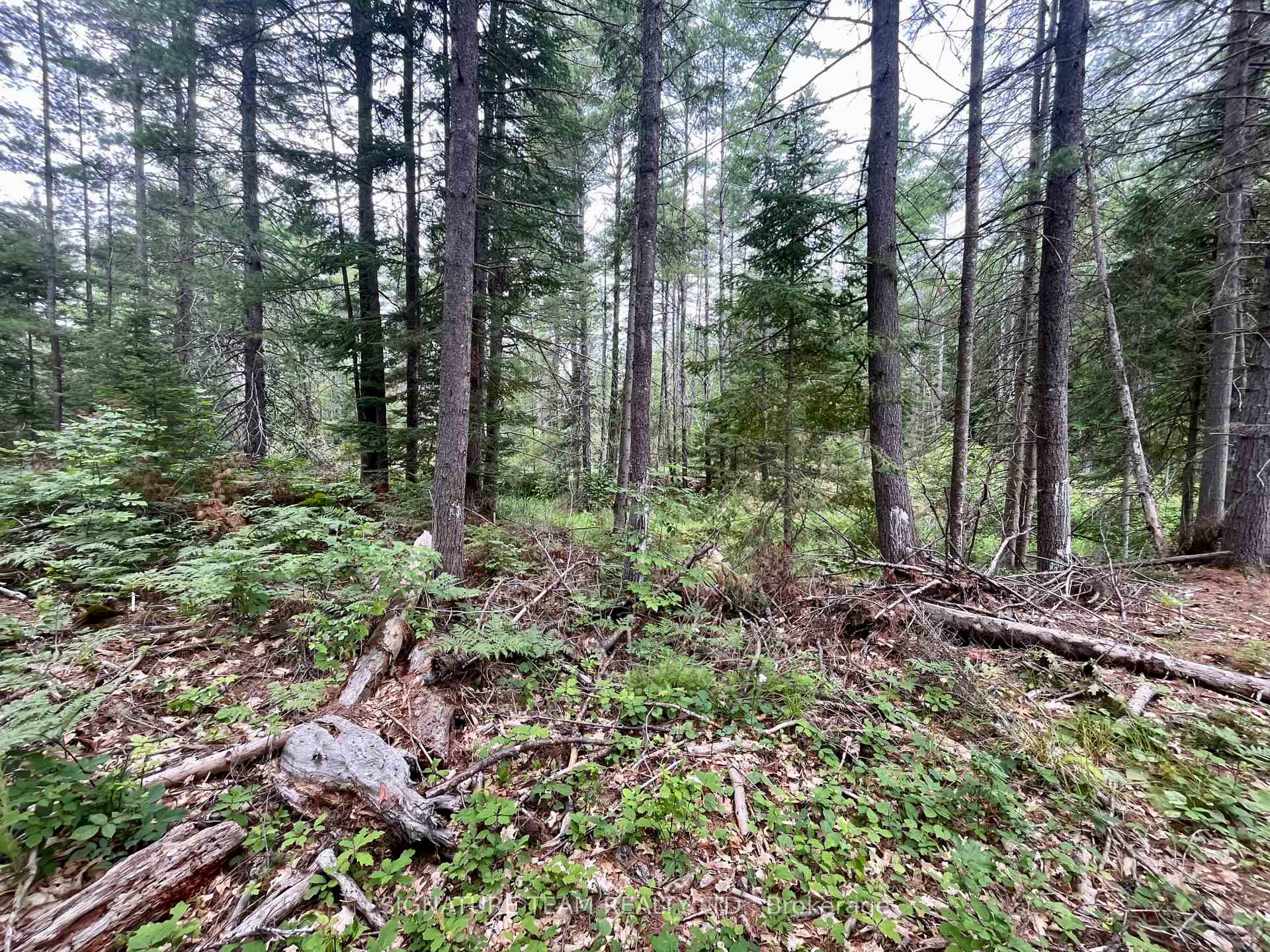 Photo 26 of 1011 Mcgrath Road, Bonnechere Valley, Eganville/Bonnechere Twp — HOMEH