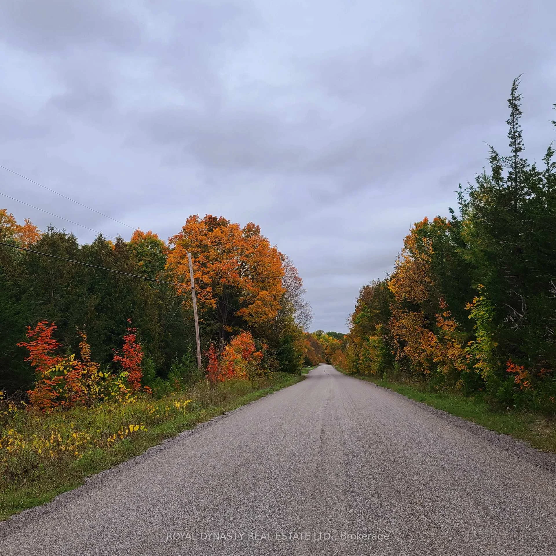 Photo 2 of 509 Sawmill Road, Douro-Dummer — HOMEH