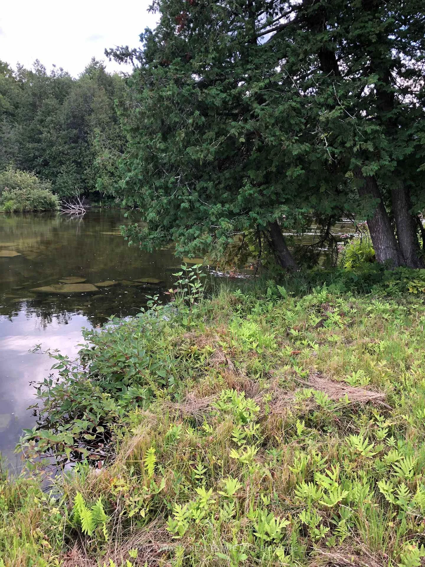 Photo 10 of 509 Sawmill Road, Douro-Dummer — HOMEH