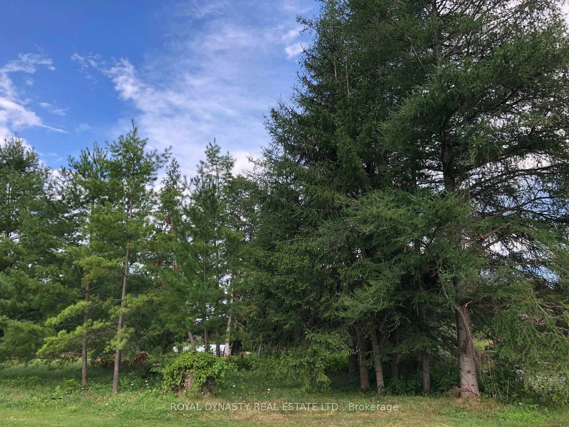 Photo 13 of 509 Sawmill Road, Douro-Dummer — HOMEH