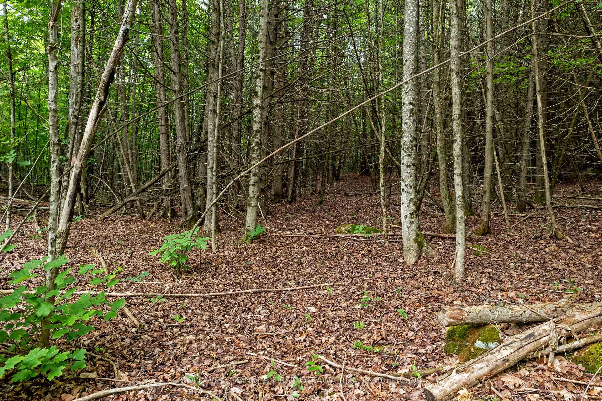 Photo 23 of 1039 Sunset Strip Lane, Frontenac, Frontenac North — HOMEH