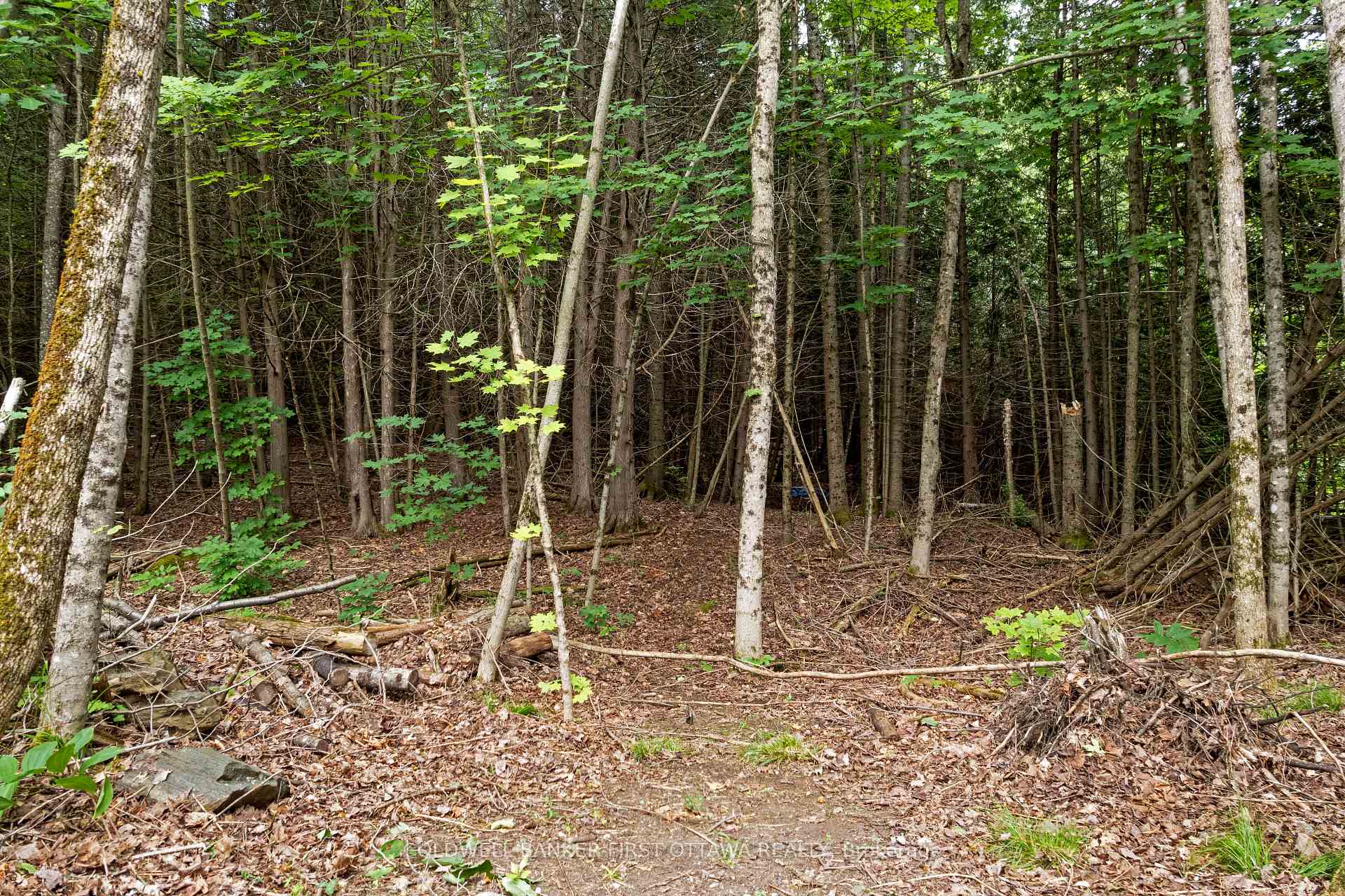 Photo 24 of 1039 Sunset Strip Lane, Frontenac, Frontenac North — HOMEH