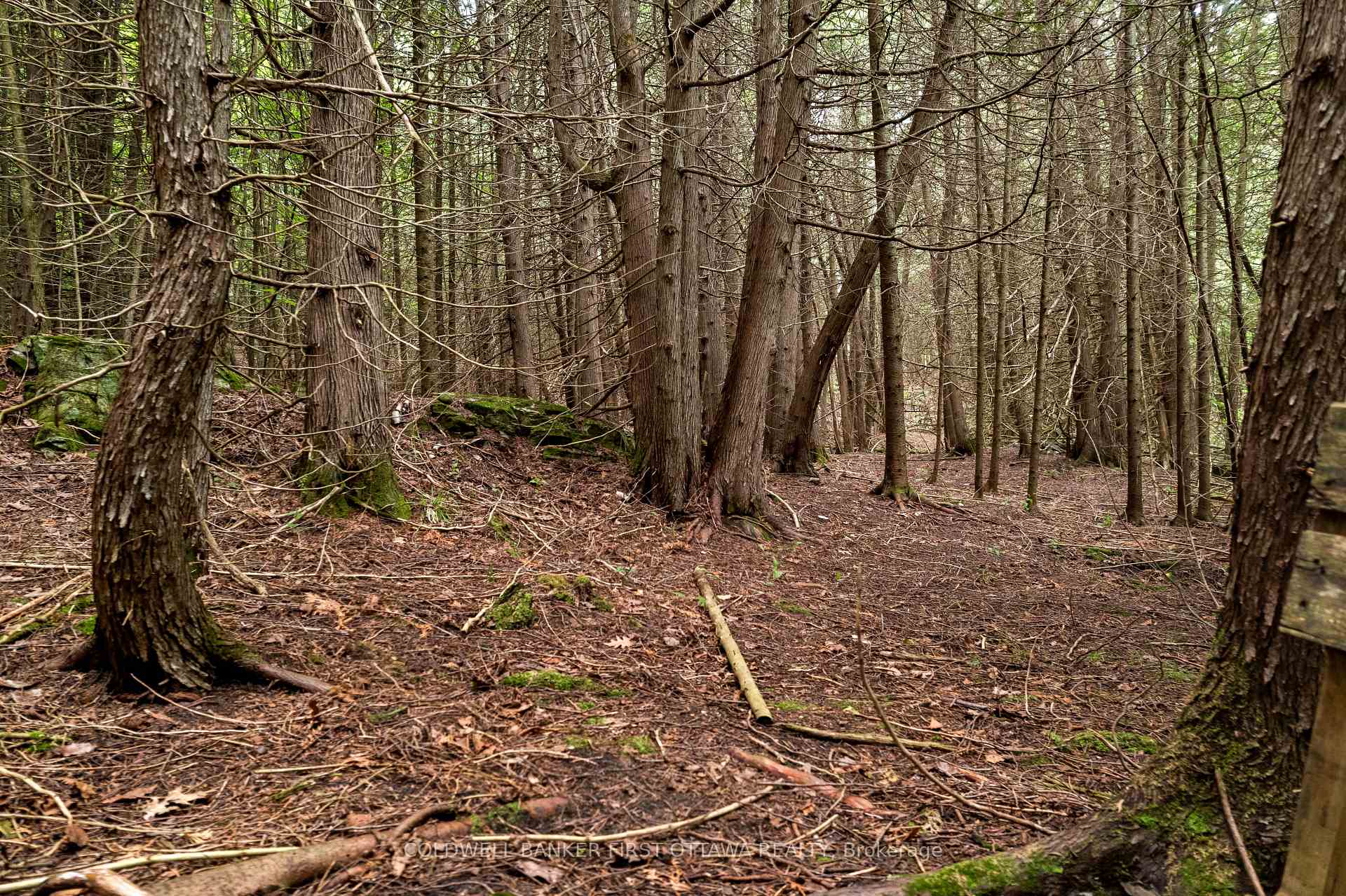 Photo 25 of 1039 Sunset Strip Lane, Frontenac, Frontenac North — HOMEH