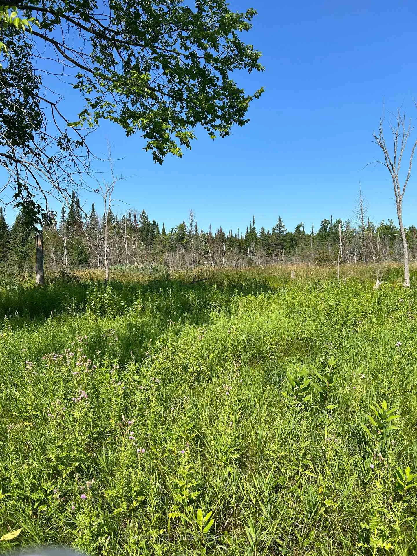 Photo 2 of 00 Highway 7, Marmora and Lake, Marmora Ward — HOMEH