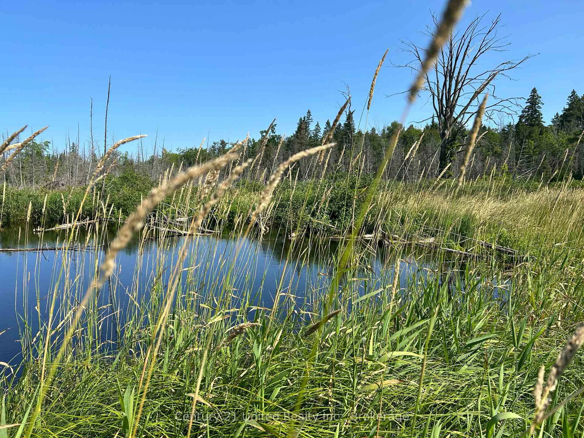 Photo 4 of 00 Highway 7, Marmora and Lake, Marmora Ward — HOMEH