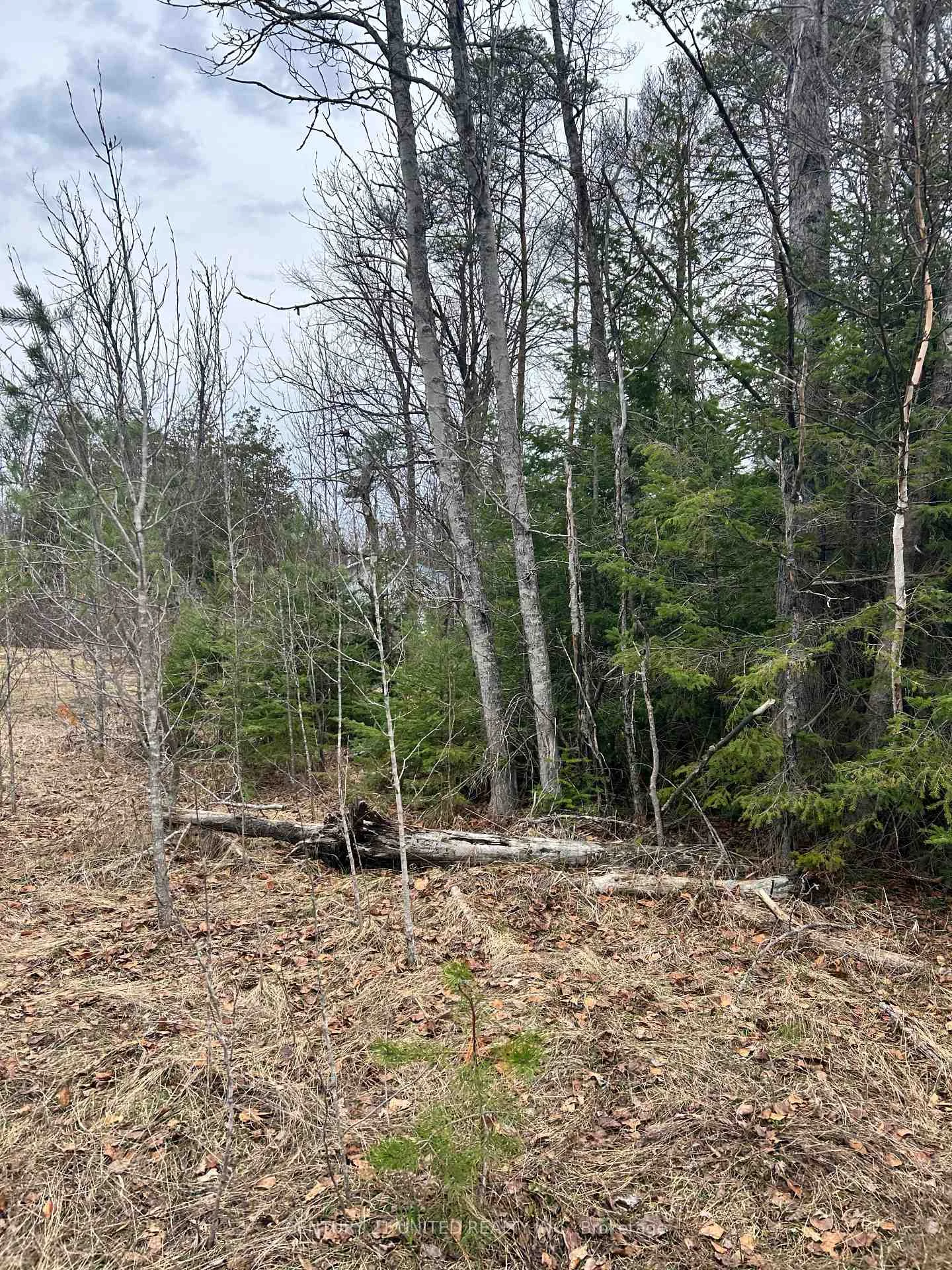 Photo 12 of 00 Highway 7, Marmora and Lake, Marmora Ward — HOMEH