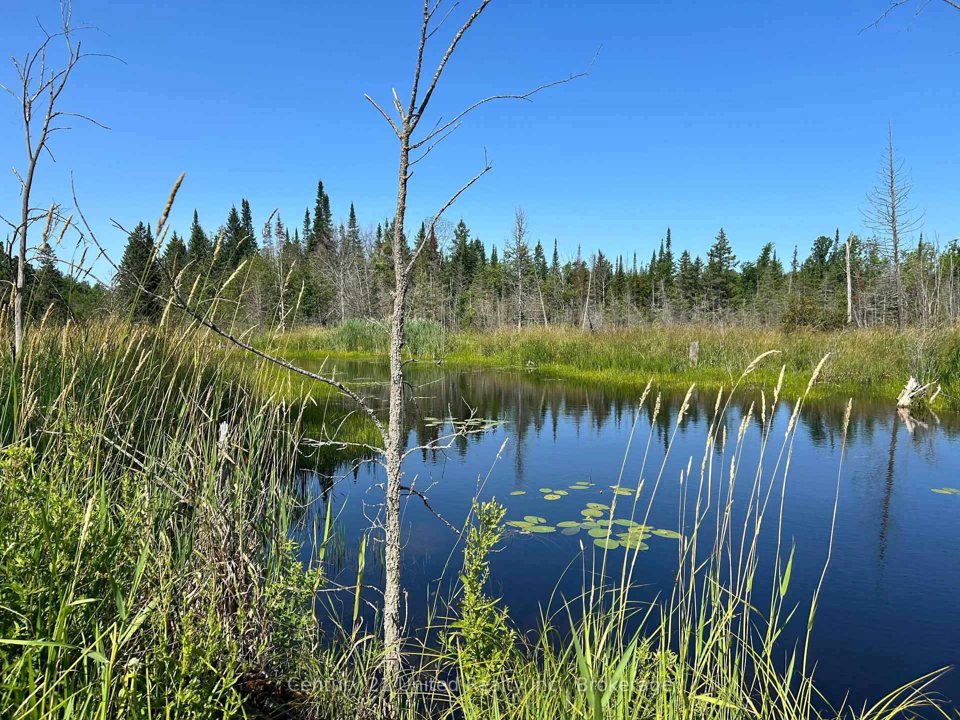 Photo 5 of 00 Highway 7, Marmora and Lake, Marmora Ward — HOMEH