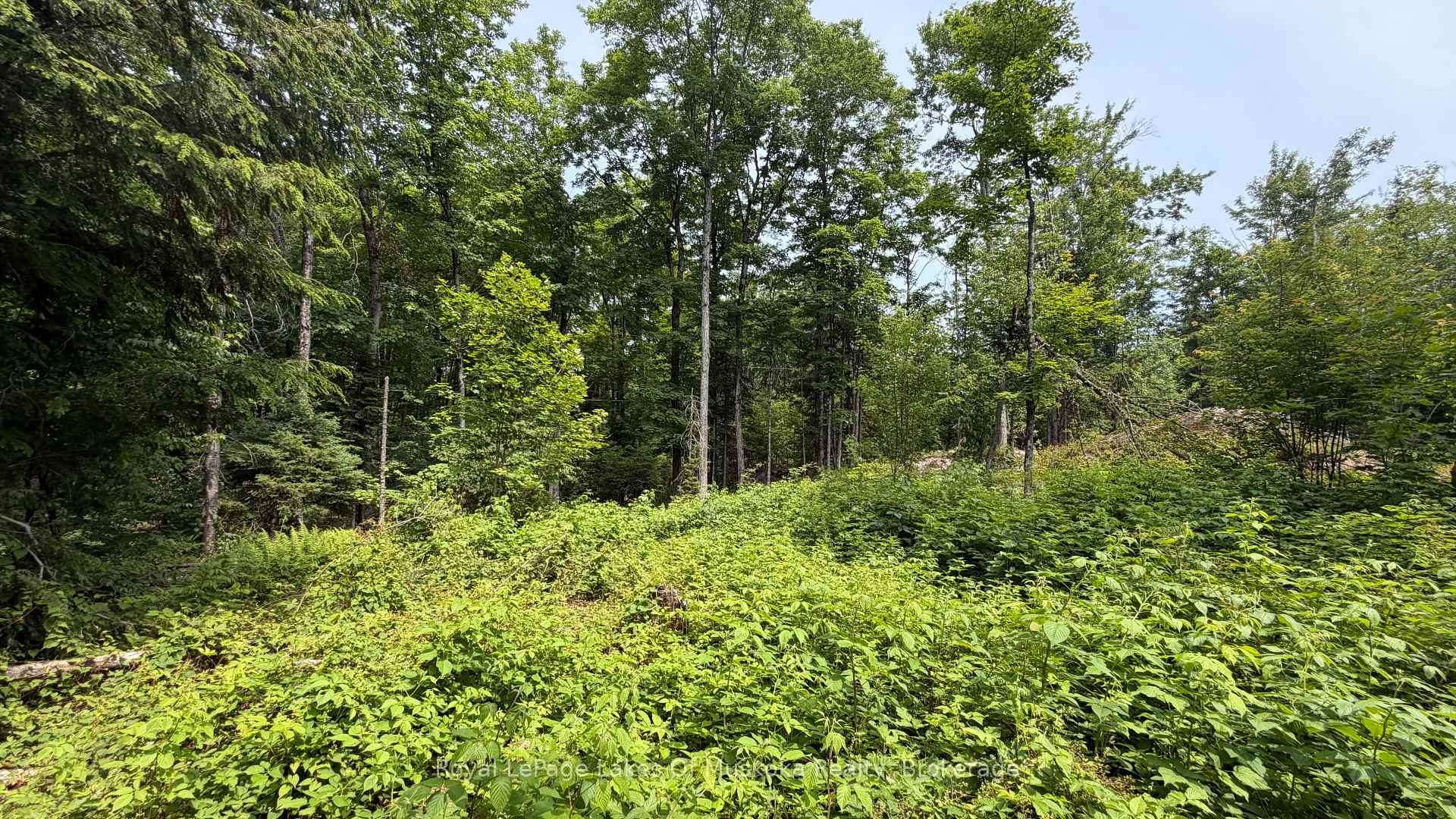 Photo 4 of Matthiasville Road, Bracebridge, Draper — HOMEH