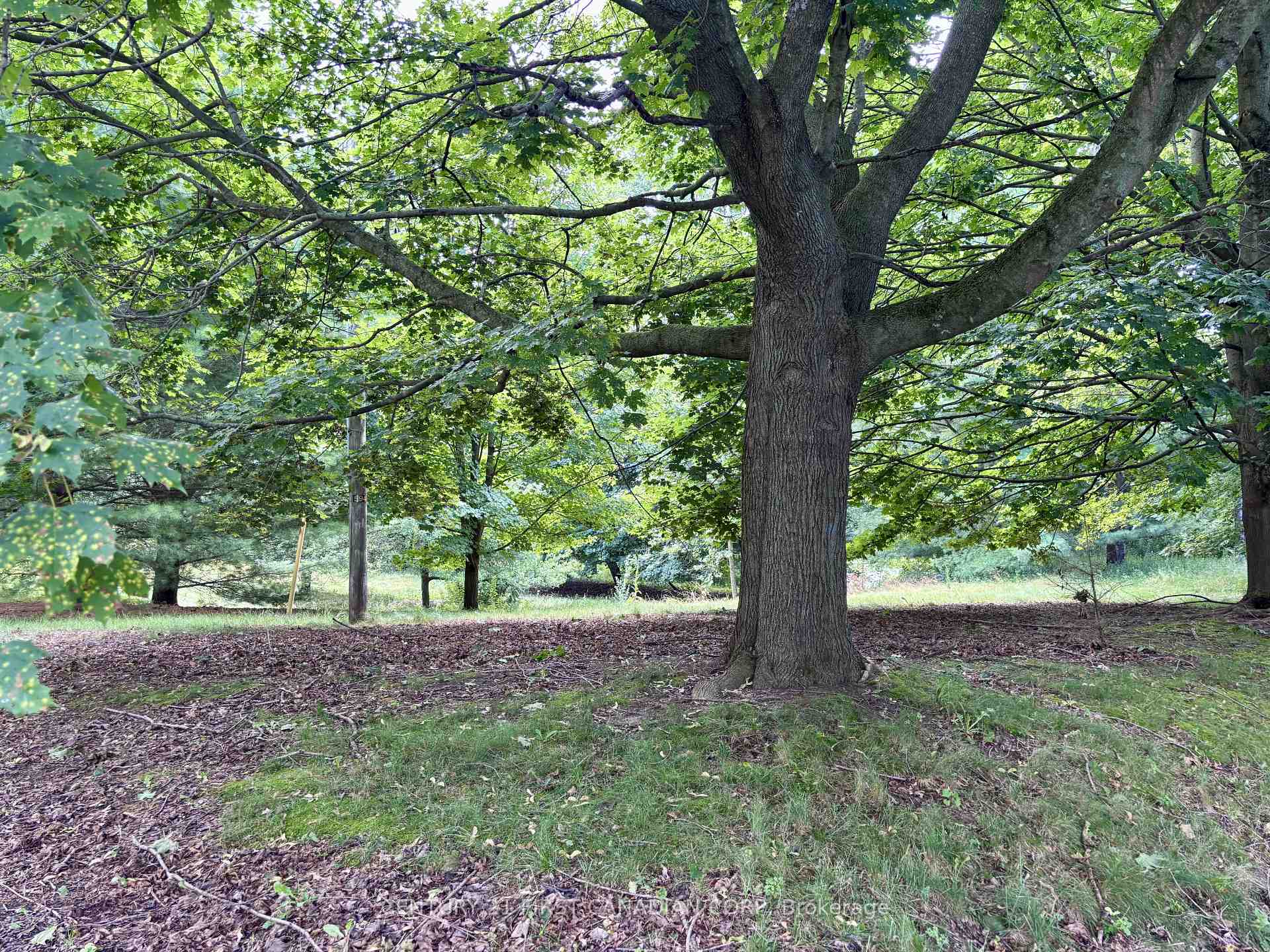 Photo 7 of 5820 Sunset Road, Central Elgin, Union — HOMEH