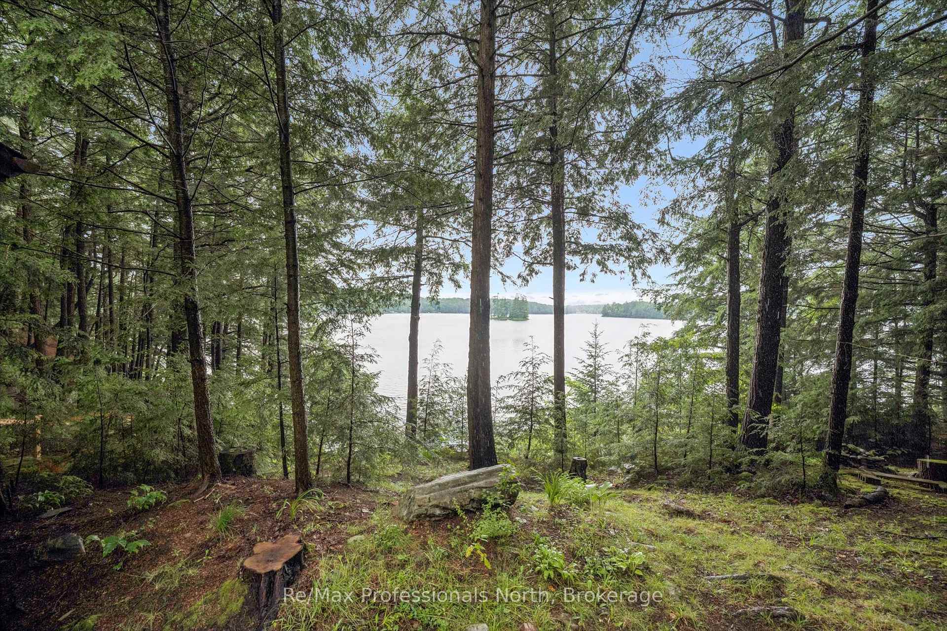 Photo 4 of 1271 Staunton Road, Bracebridge, Draper — HOMEH