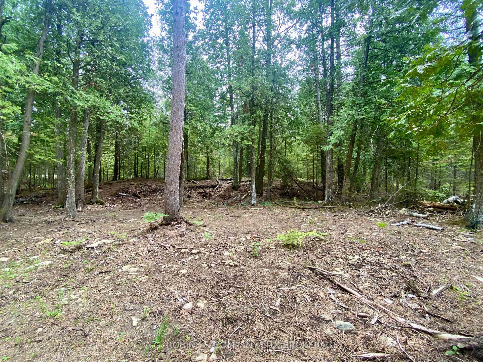 Photo 16 of 262 Johnsons Harbour Road, Northern Bruce Peninsula — HOMEH