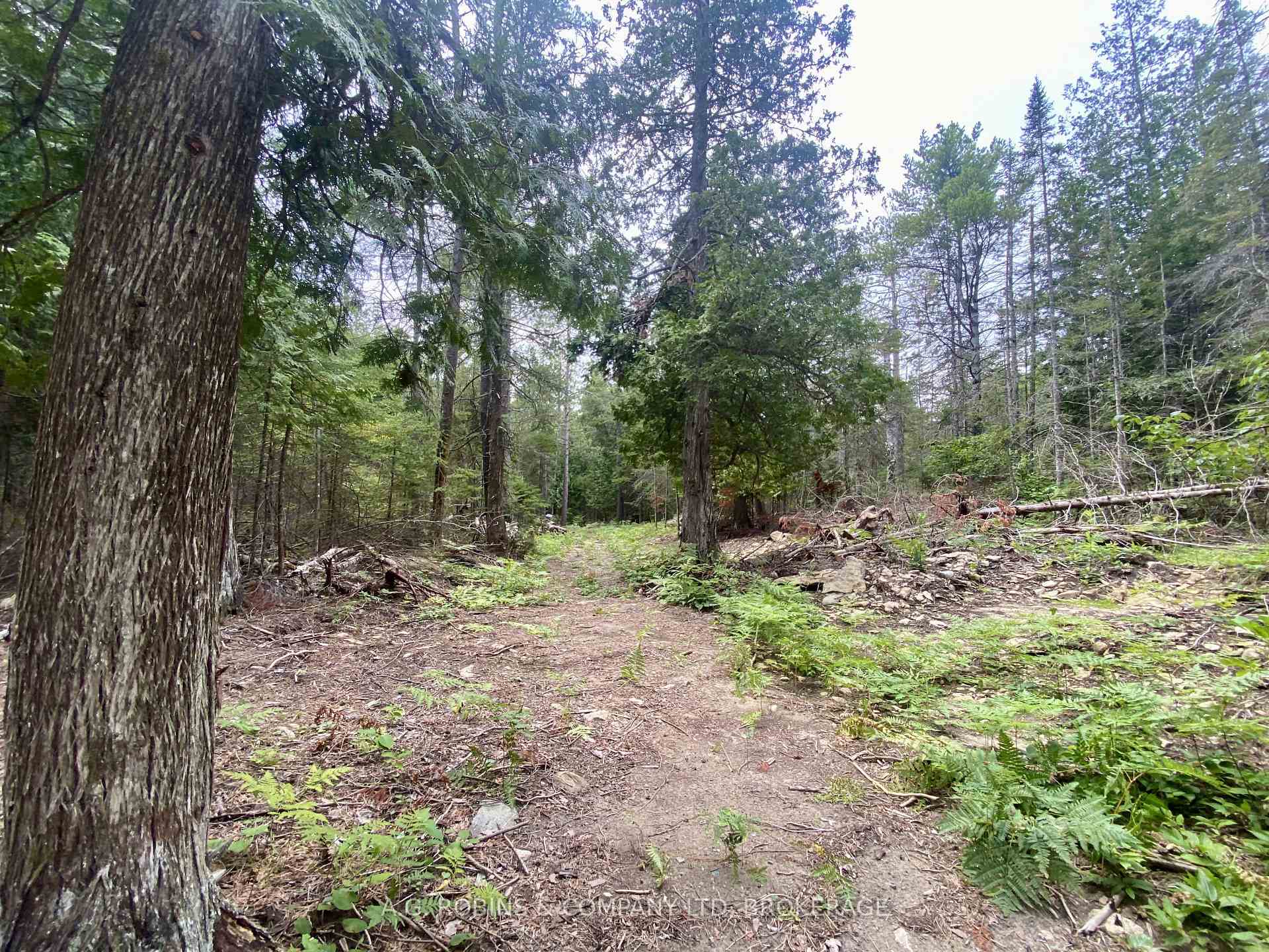 Photo 17 of 262 Johnsons Harbour Road, Northern Bruce Peninsula — HOMEH