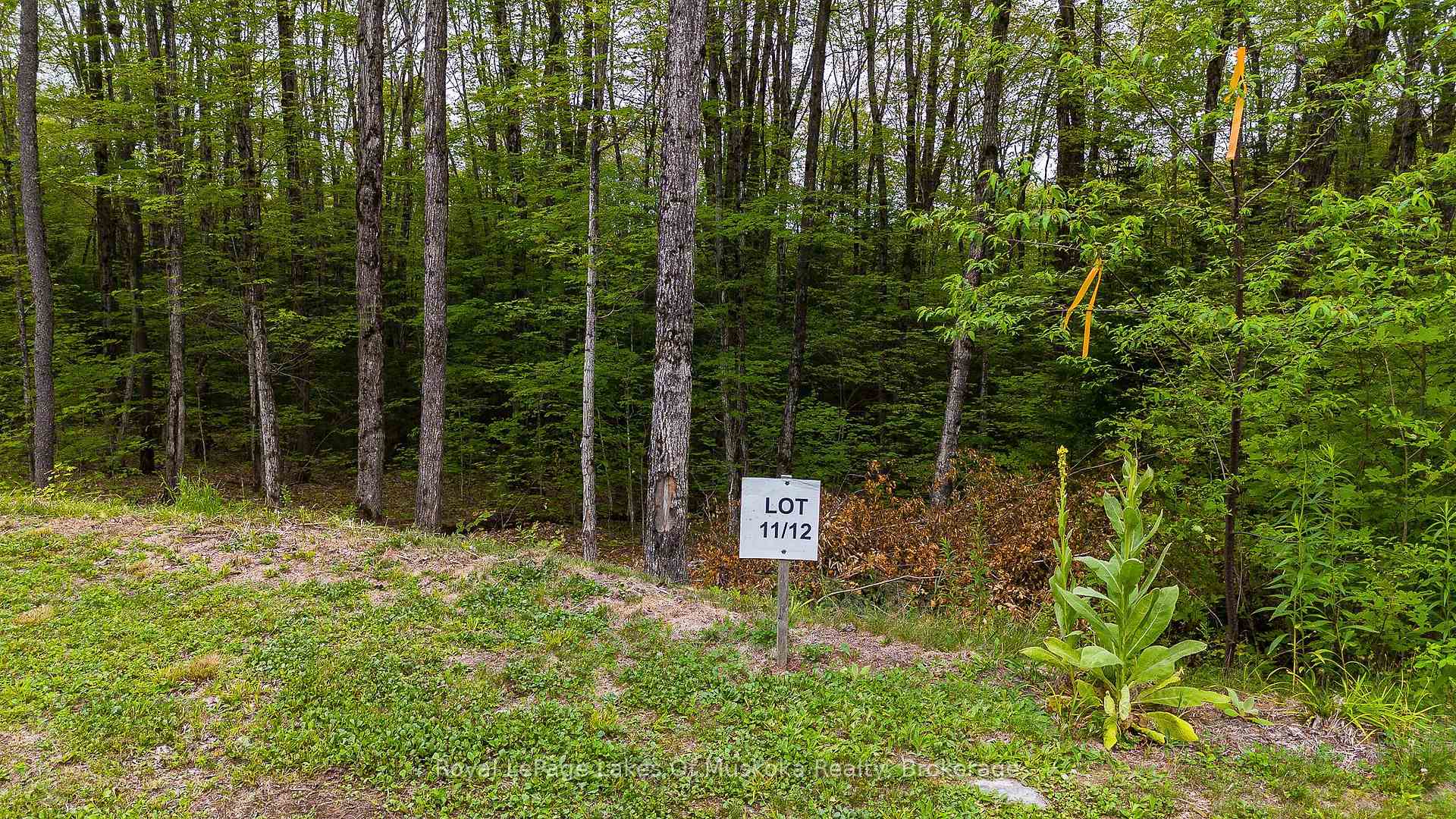 Photo 1 of Lot 11 Millie's Way, Armour — HOMEH