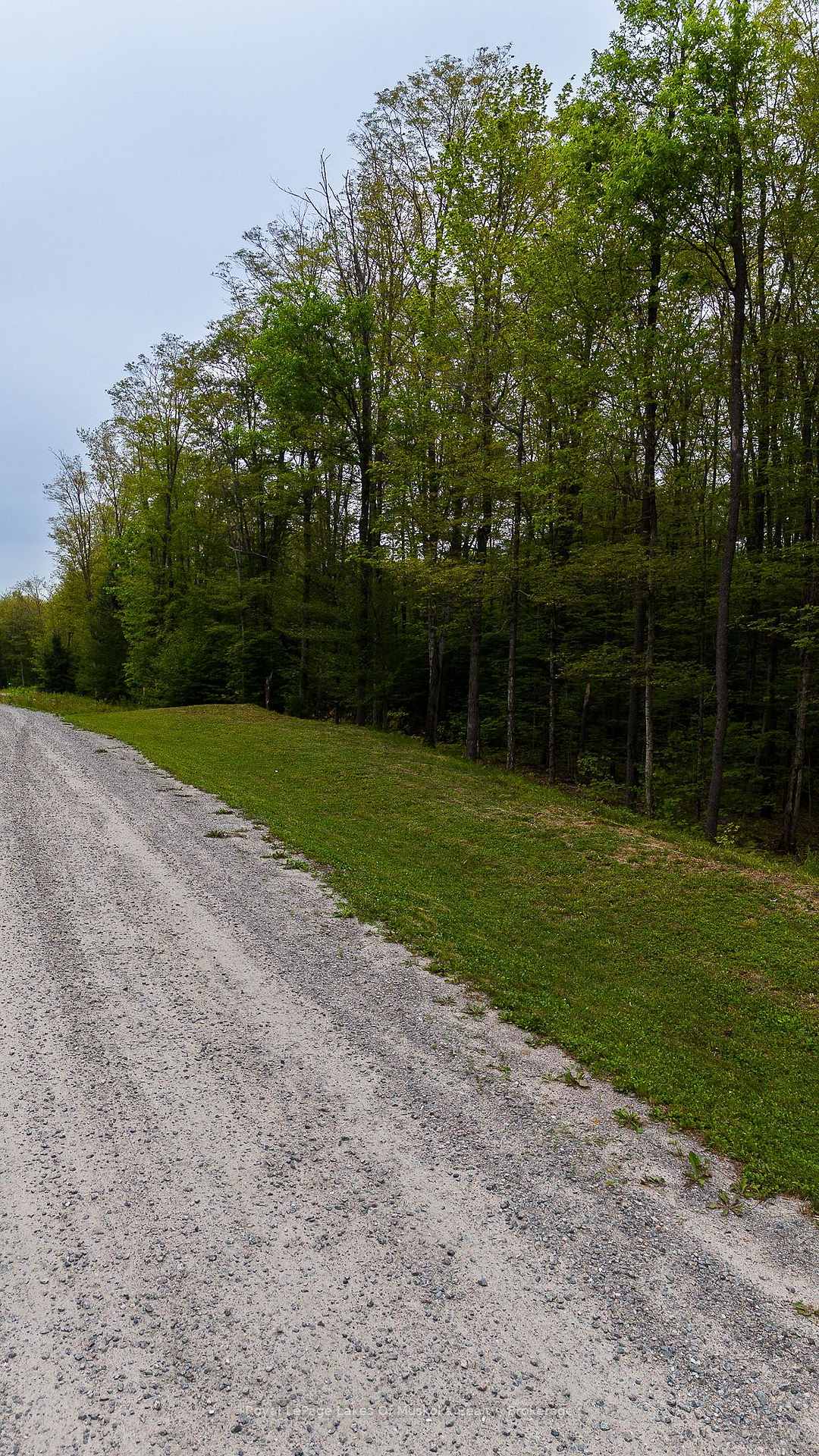 Photo 3 of Lot 11 Millie's Way, Armour — HOMEH